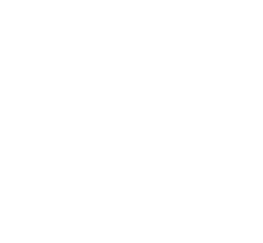 Recovery Bridge