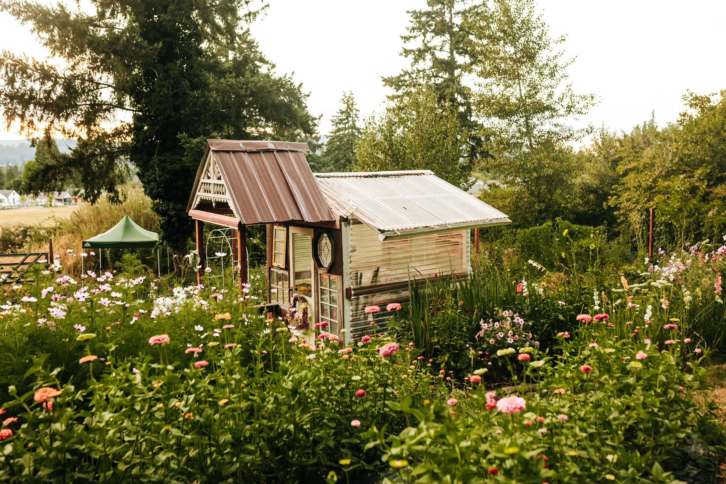 The Happy Hill Homestead