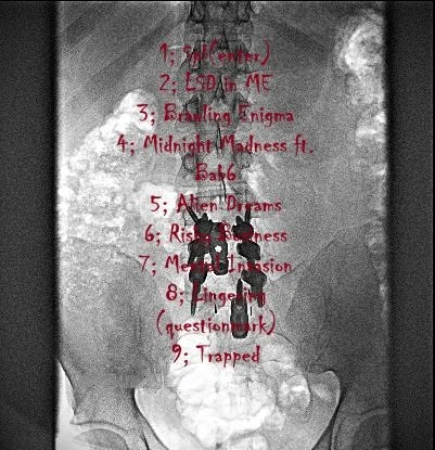 S(th)pinal album cover back new.jpg