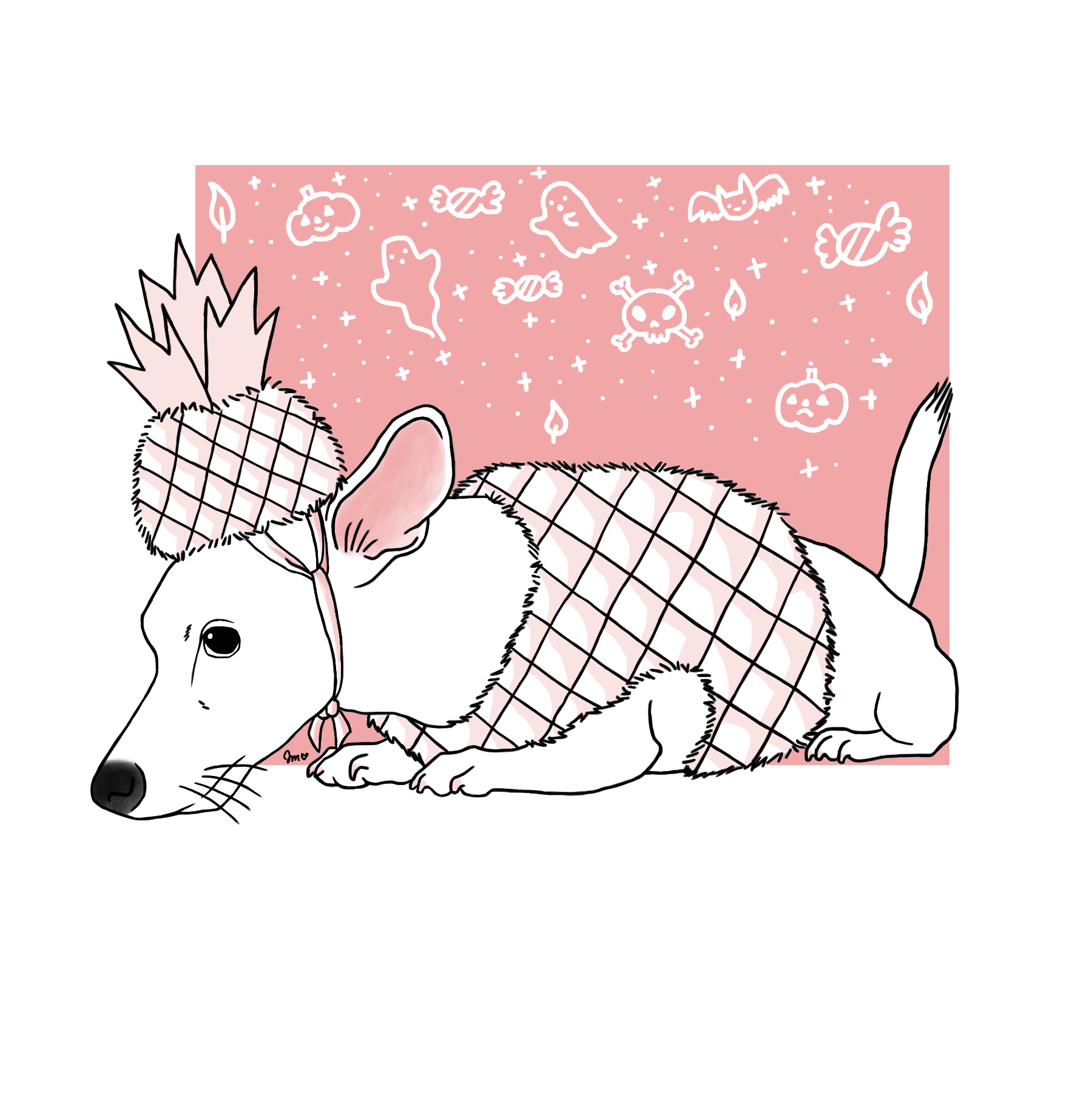 010.png