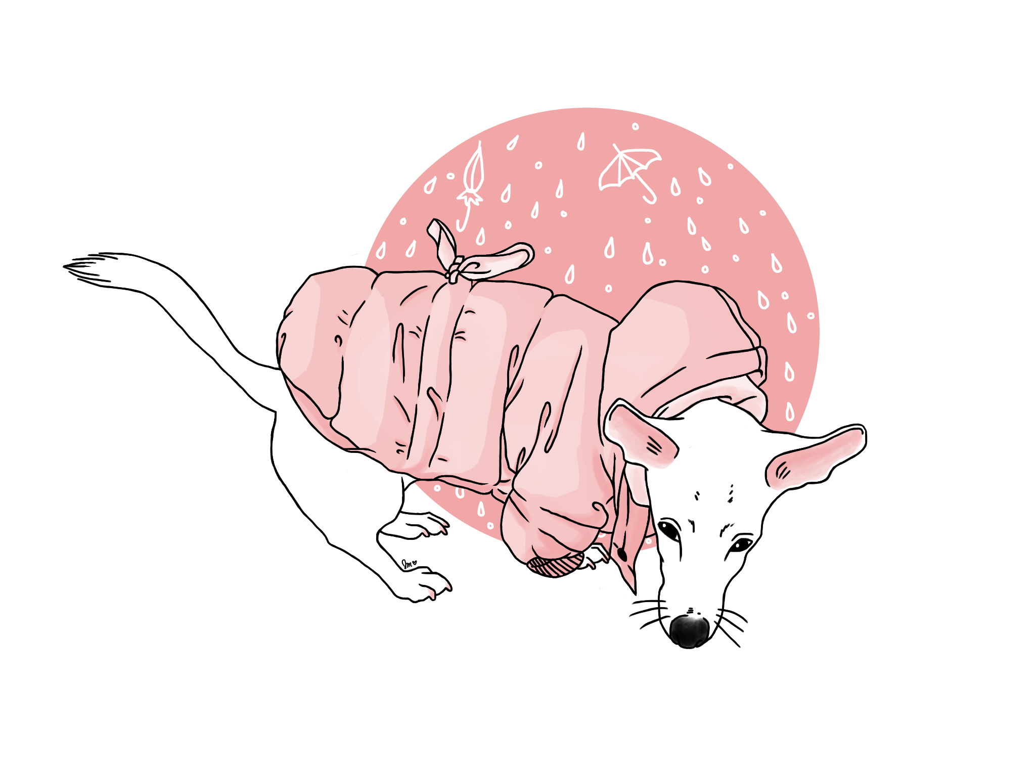 04.png