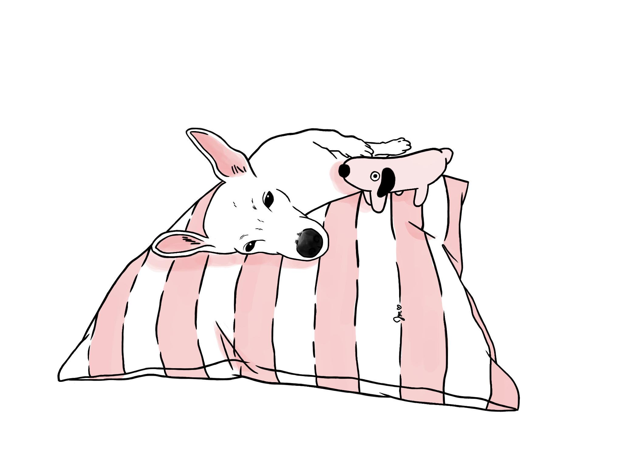 06.png
