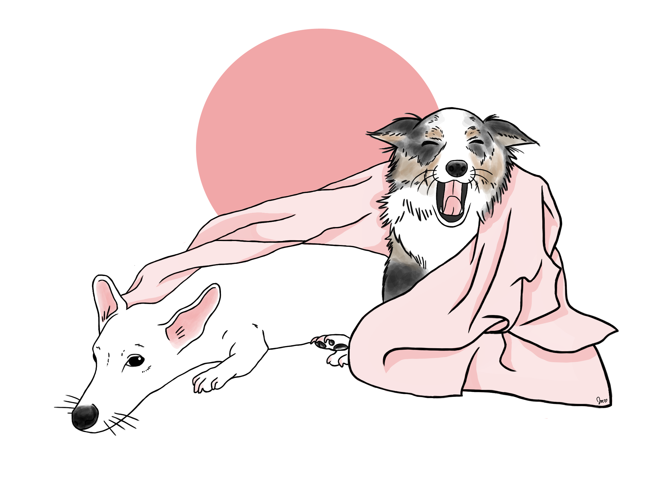 08.png