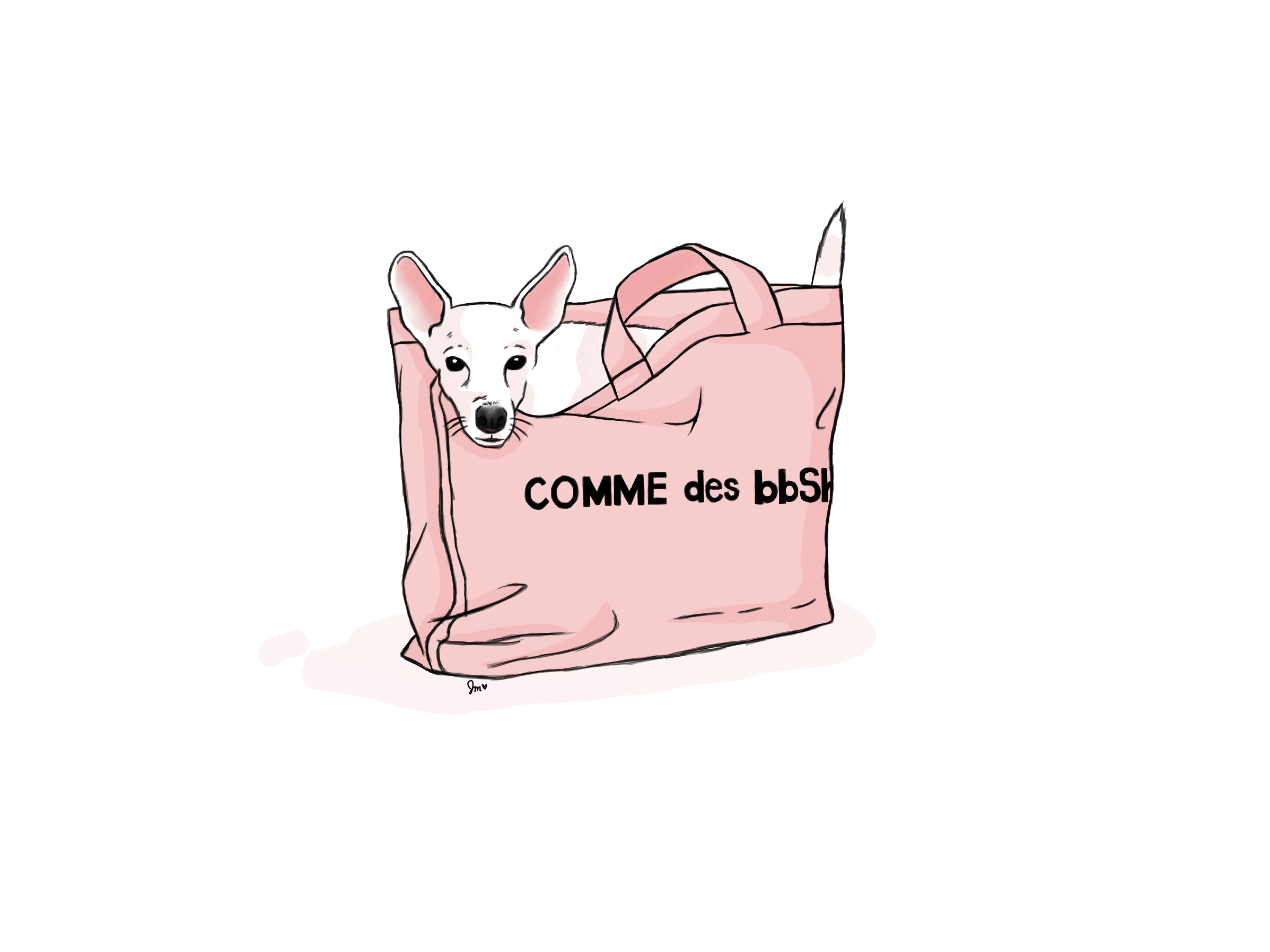 bbbag BLANK.png