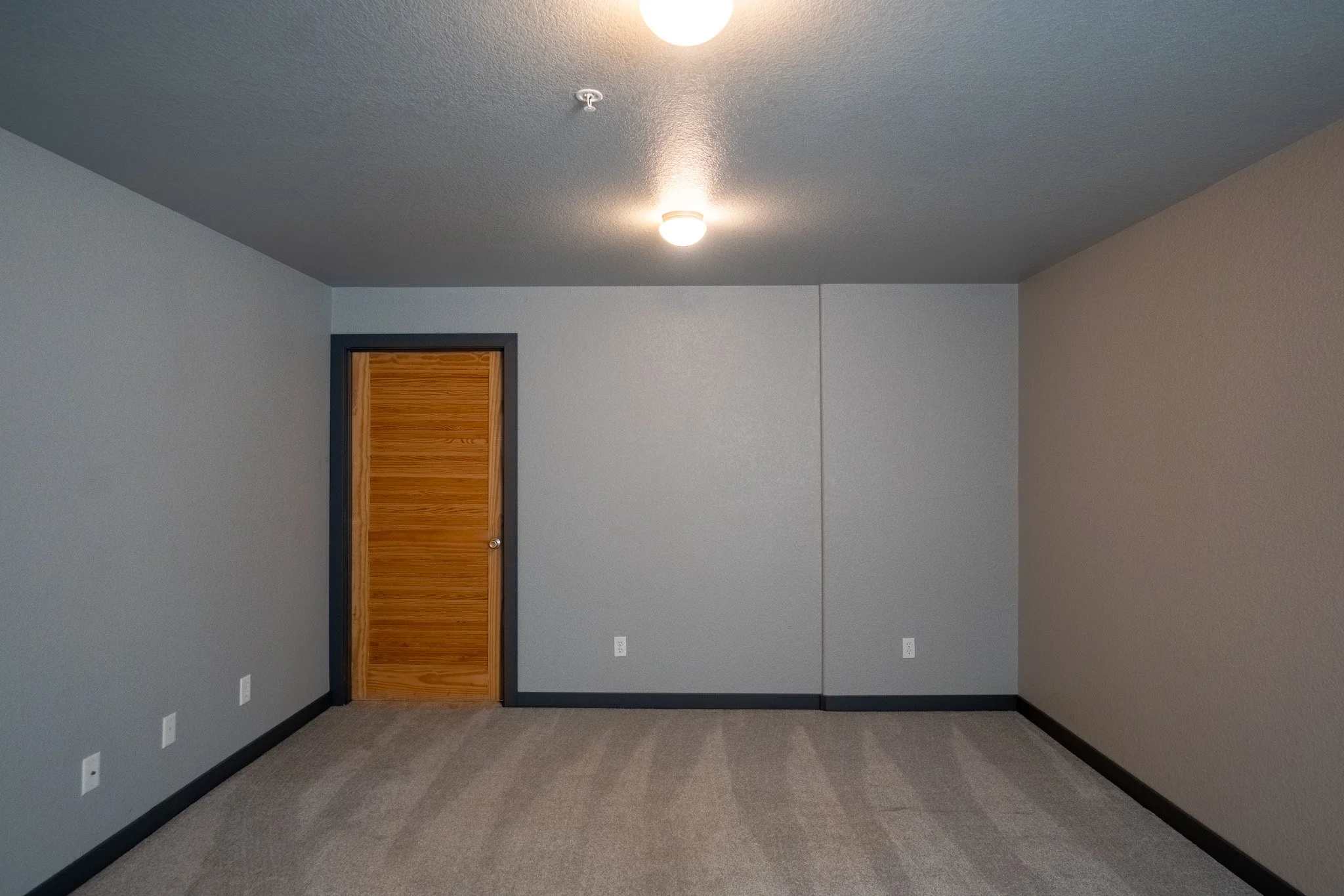 An empty room with beige carpet, gray walls, black trim, a wooden door, and a ceiling light fixture.