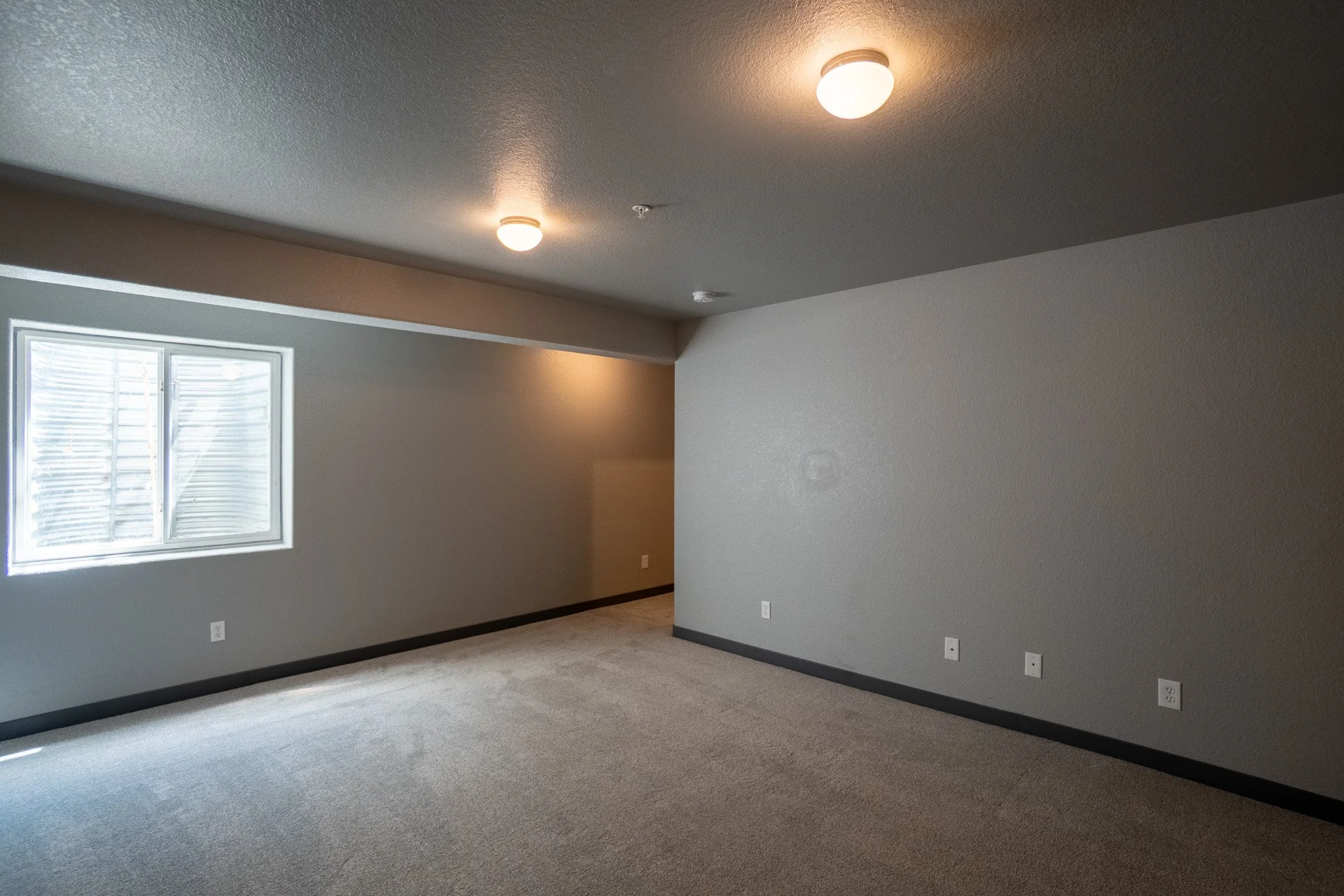 Empty room with gray walls, carpeted floor, window with blinds, and ceiling lights.