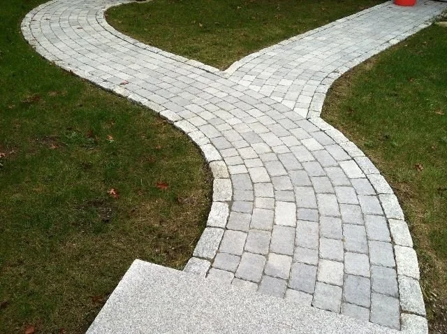 Curving paver pathway in a grassy area
