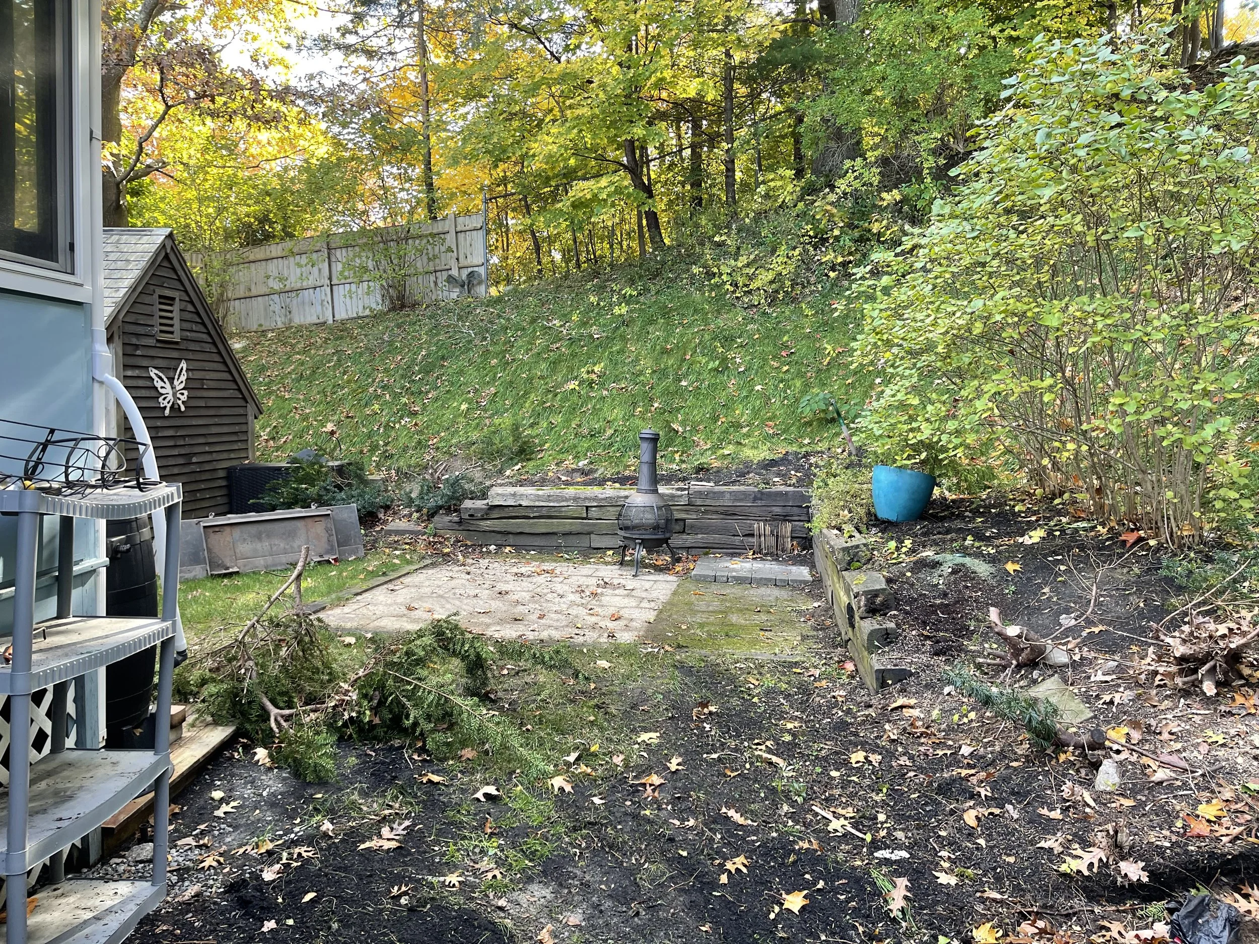 Backyard garden with a small shed, scattered leaves, and a wooded area with trees showing fall colors.