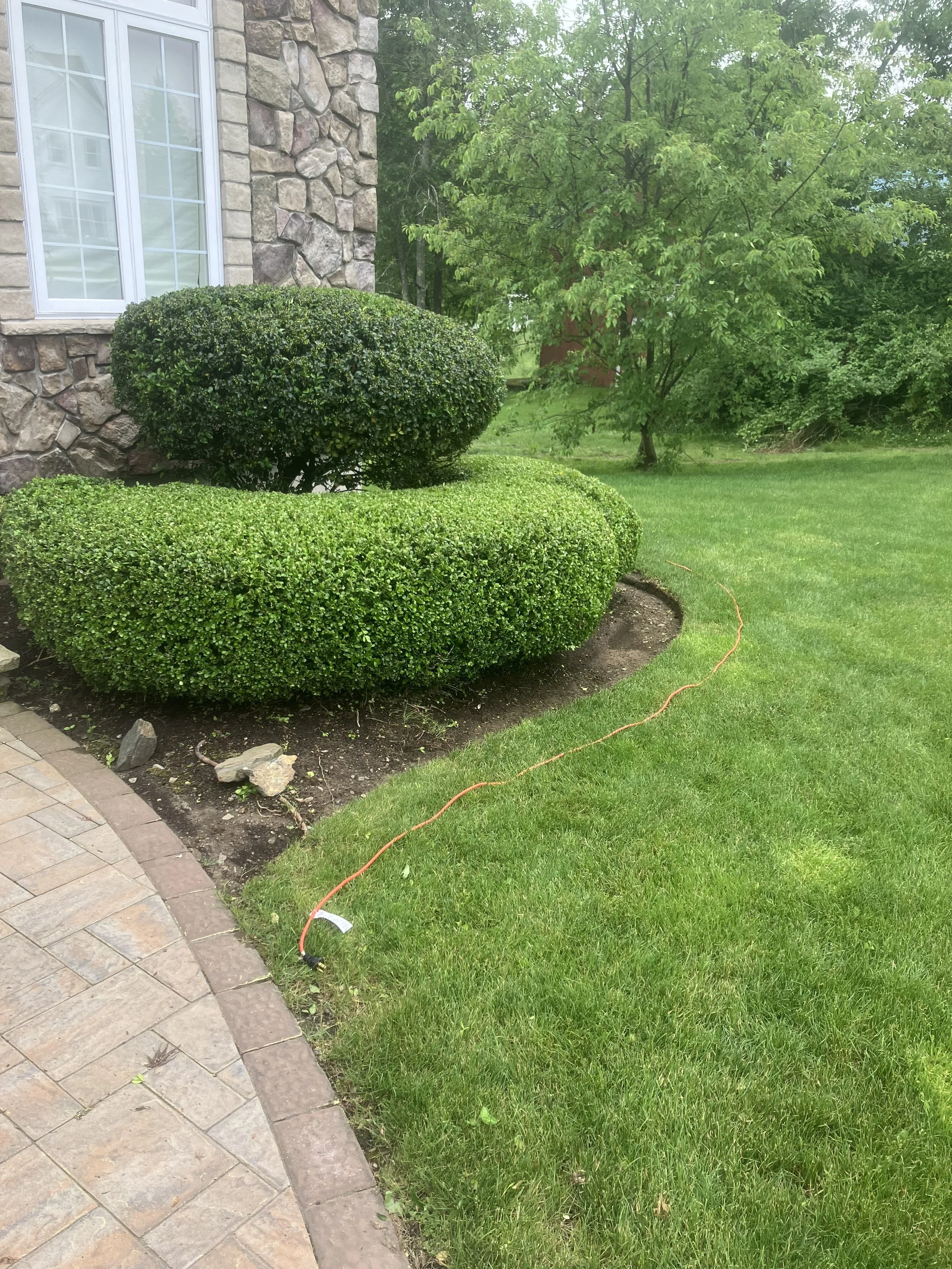 A well-manicured lawn with vibrant green grass, shaping around the edge of a house with a stone and brick exterior and a window, with a large leafy tree in the background. An orange extension cord runs across the grass.