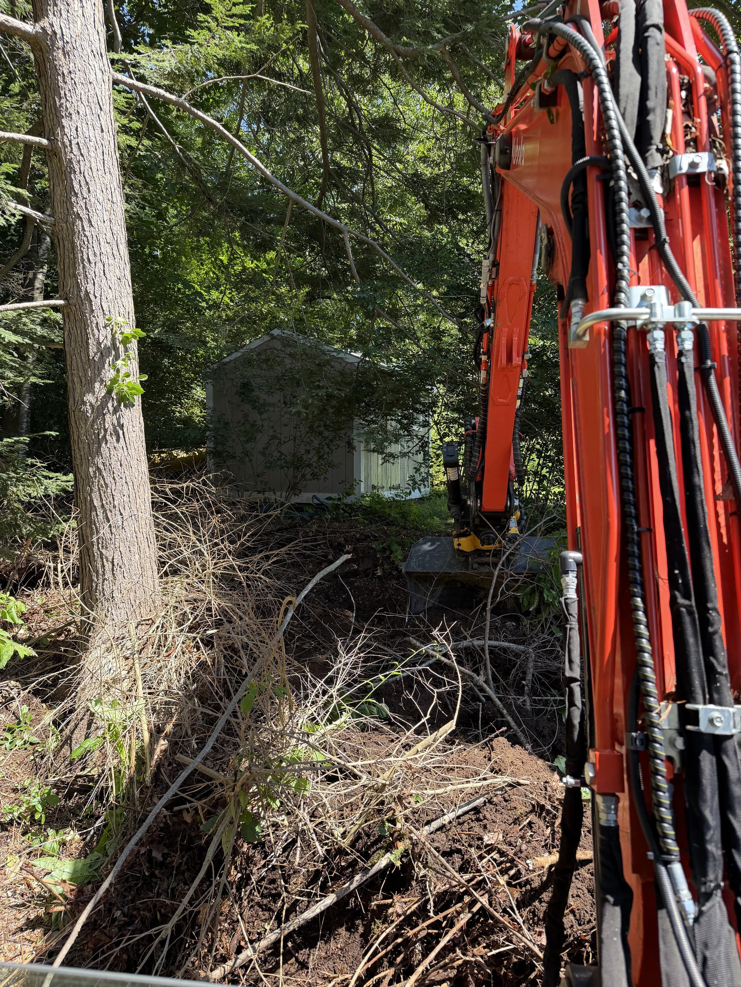 A tree is being cut down with a large orange excavator in a wooded area. There is a shed or small building in the background surrounded by dense green foliage.