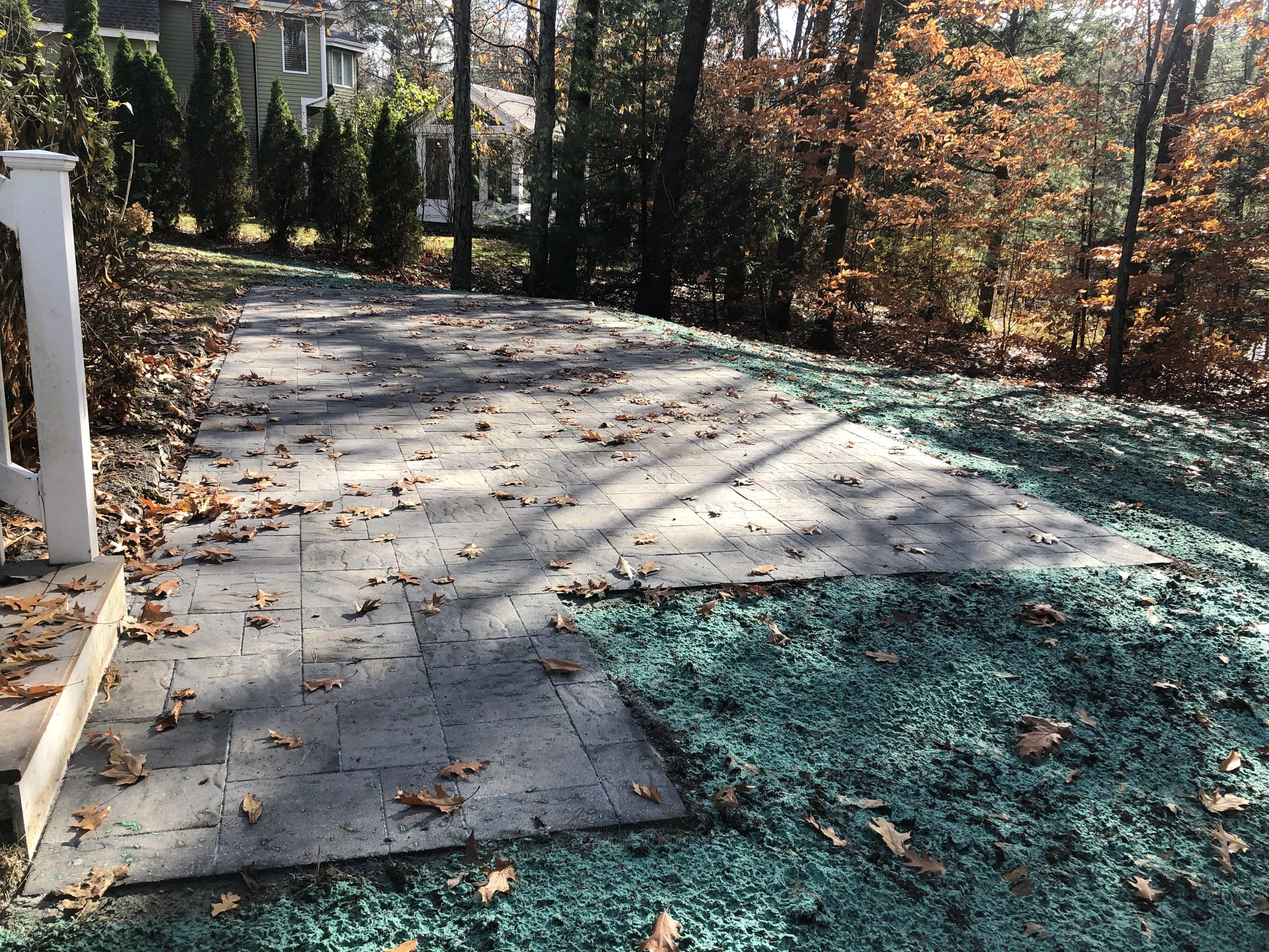 A paved pathway covered with fallen leaves in a residential yard during fall, with trees and a house in the background.