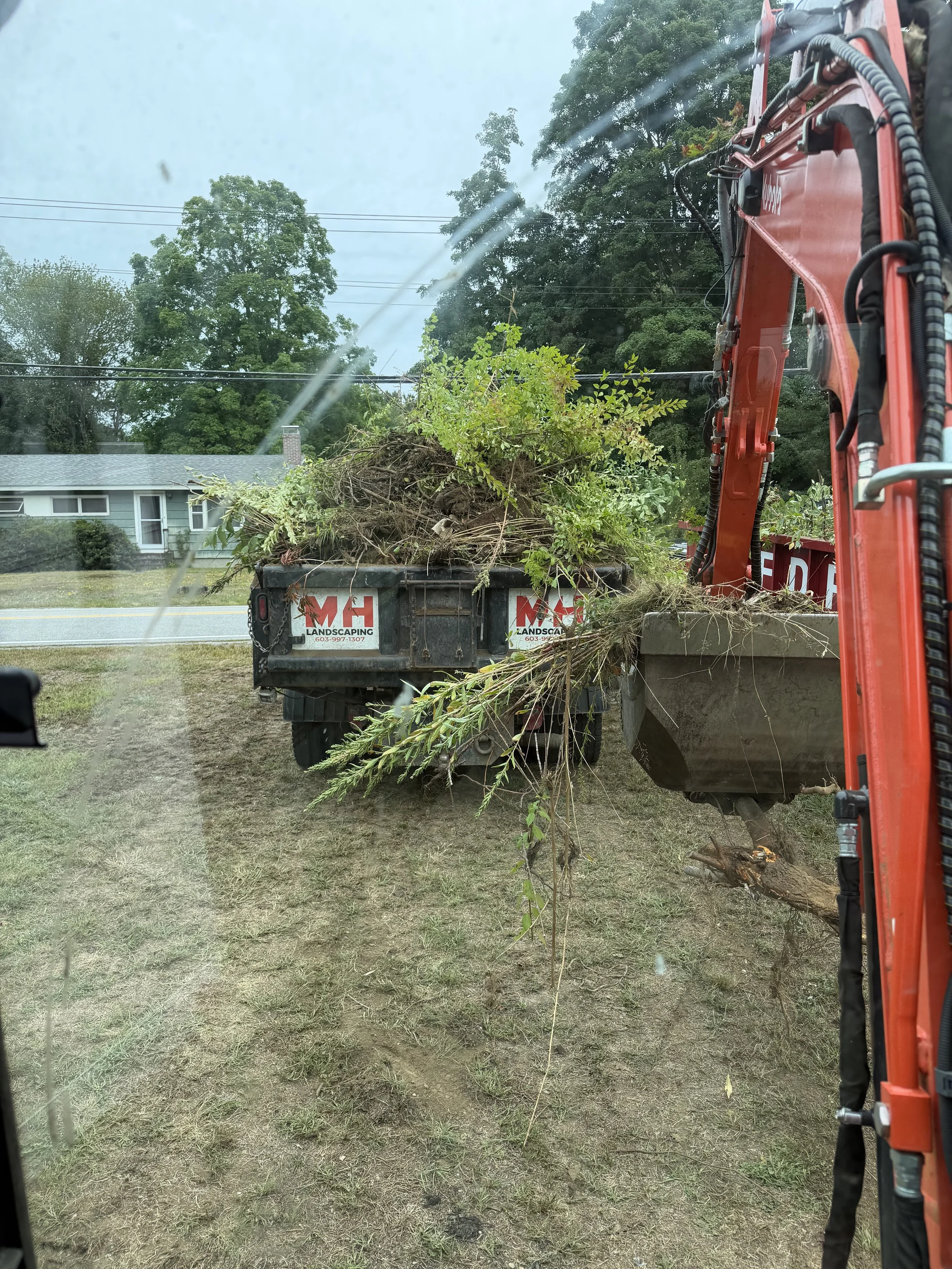View through a window showing a landscaping truck with a load of uprooted plants and soil, a house with a chimney, and trees in the background.