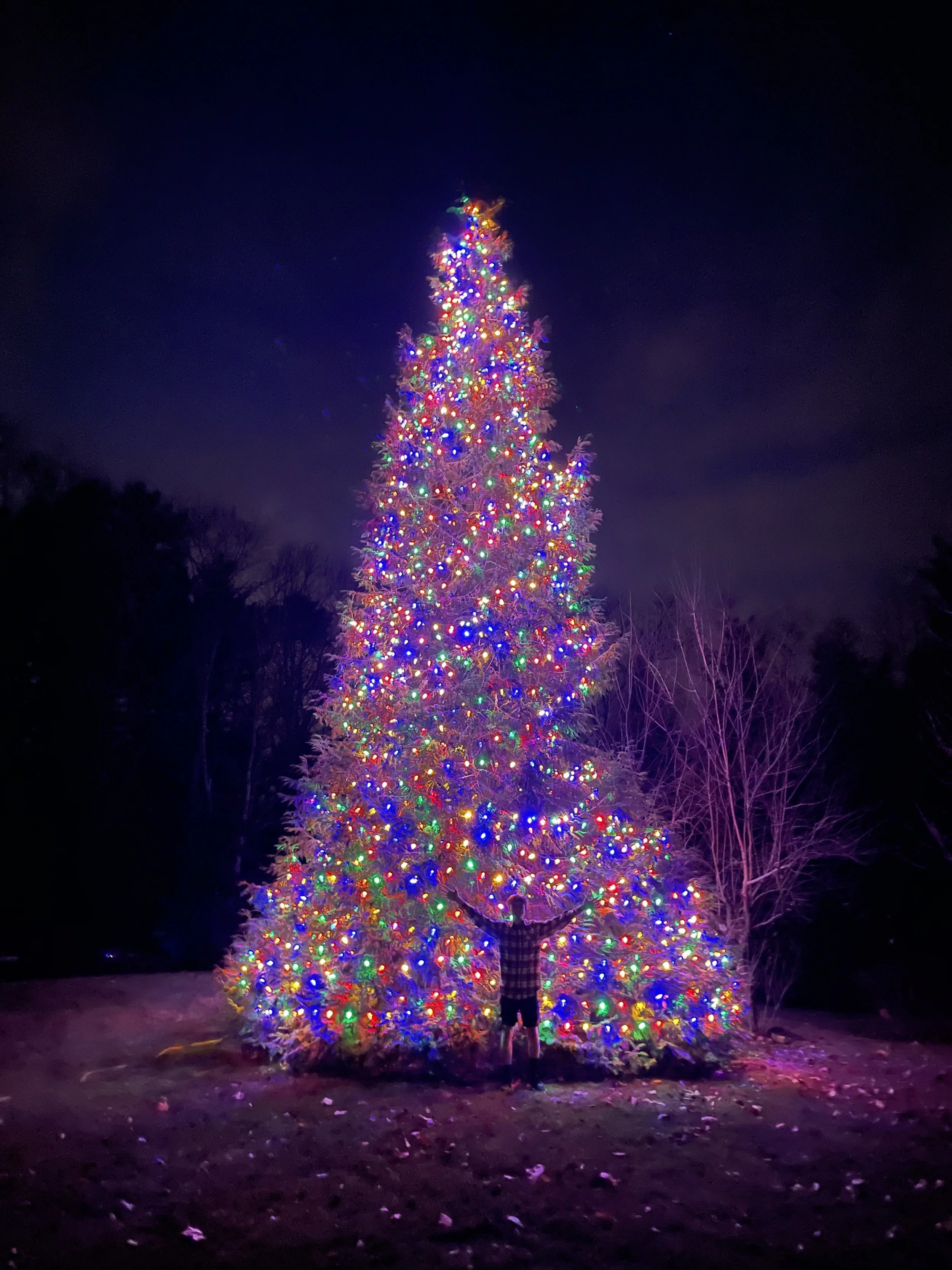 A person with arms raised standing in front of a large Christmas tree decorated with colorful lights at night.