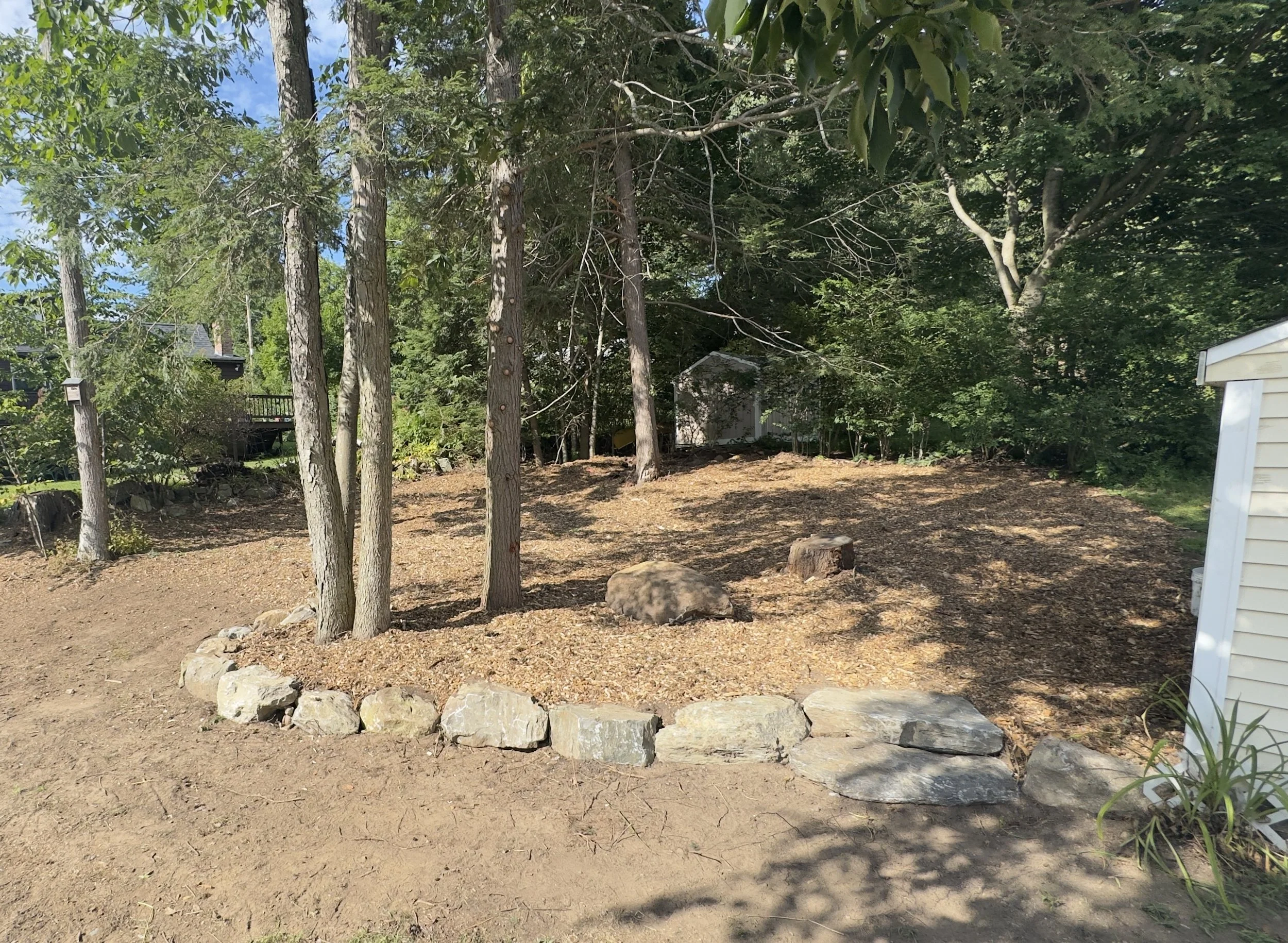 A backyard with trees, a rock border, and a small shed, with a dirt ground and some stone decorations.