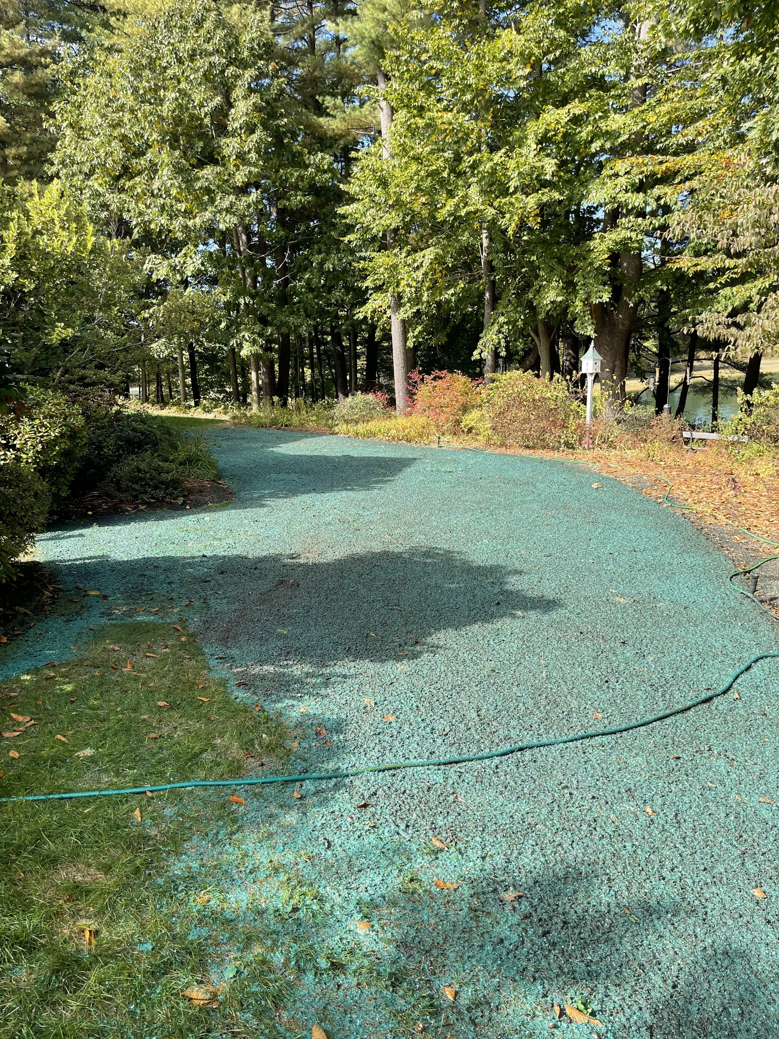A hydroseeded yard in a wooded area with trees and bushes on both sides, and a white garden lantern along the trail.
