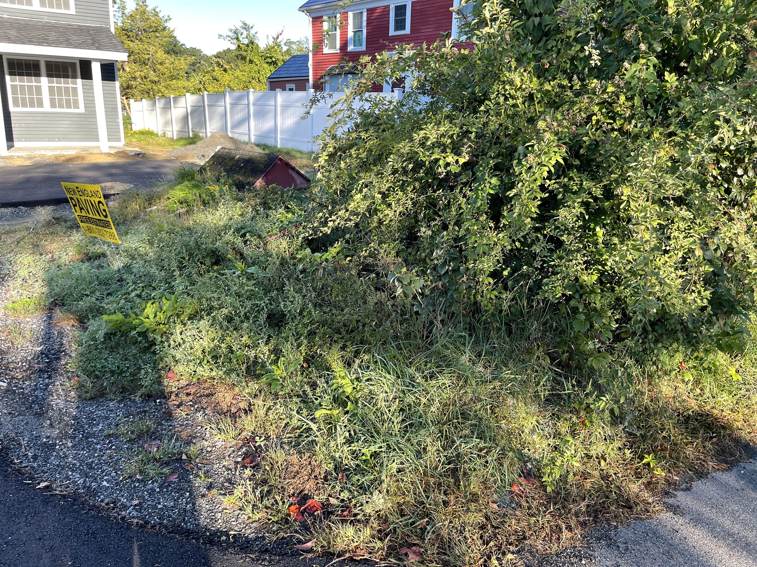 A residential backyard with a patch of overgrown weeds and bushes, two houses with vinyl siding and white fences, and a yellow sign that says 'New England Paving Free Estimates 1-800-628-7288'.