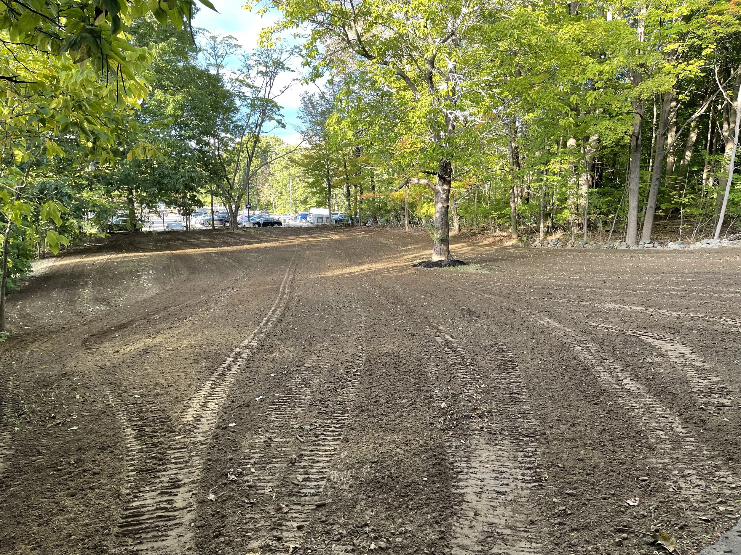 A backyard freshly graded using a skid steer and Harley rake ready for hydroseeding. The sky is partly cloudy with blue patches visible.