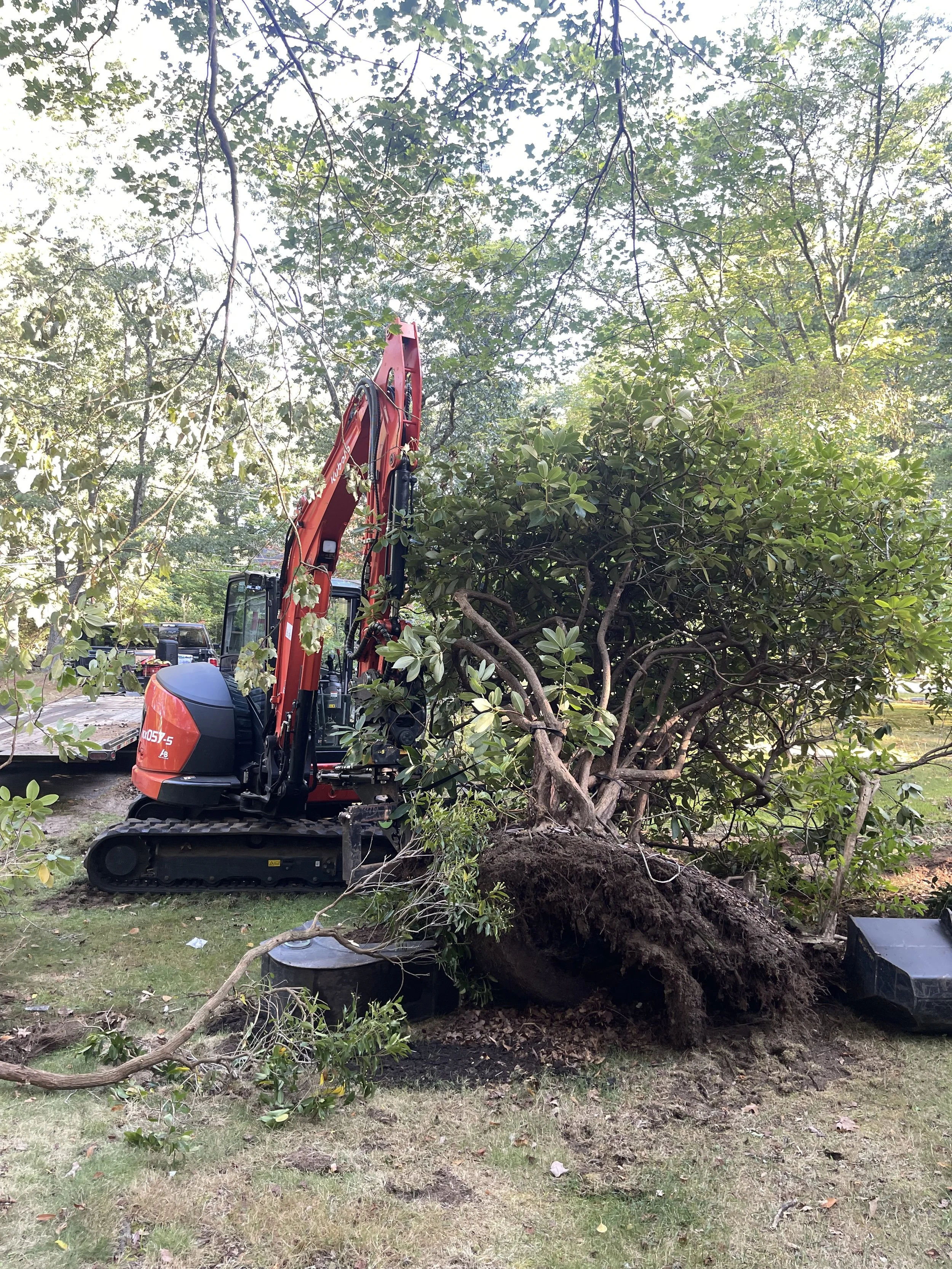 A compact orange and black excavator with a hydraulic arm and bucket clearing tree roots and debris from a yard with grass, fallen branches, and a large uprooted tree.