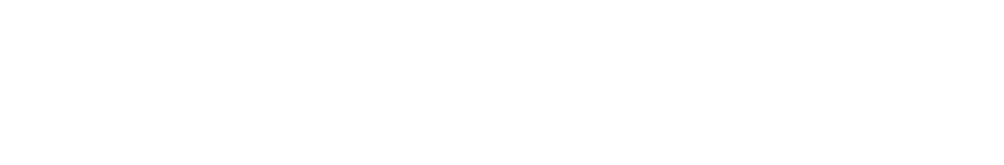 Close-up of a black and white logo featuring the letters 'EVEXIPEL' with a stylized 'X' in the center.