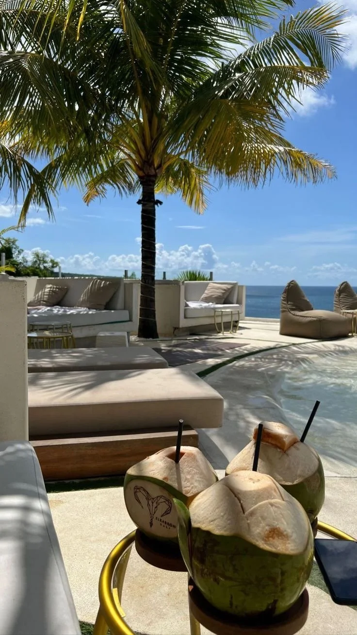 Three coconuts with straws on a yellow table in a beachside setting with loungers, plush chairs, palm trees, and the ocean in the background under a blue sky.