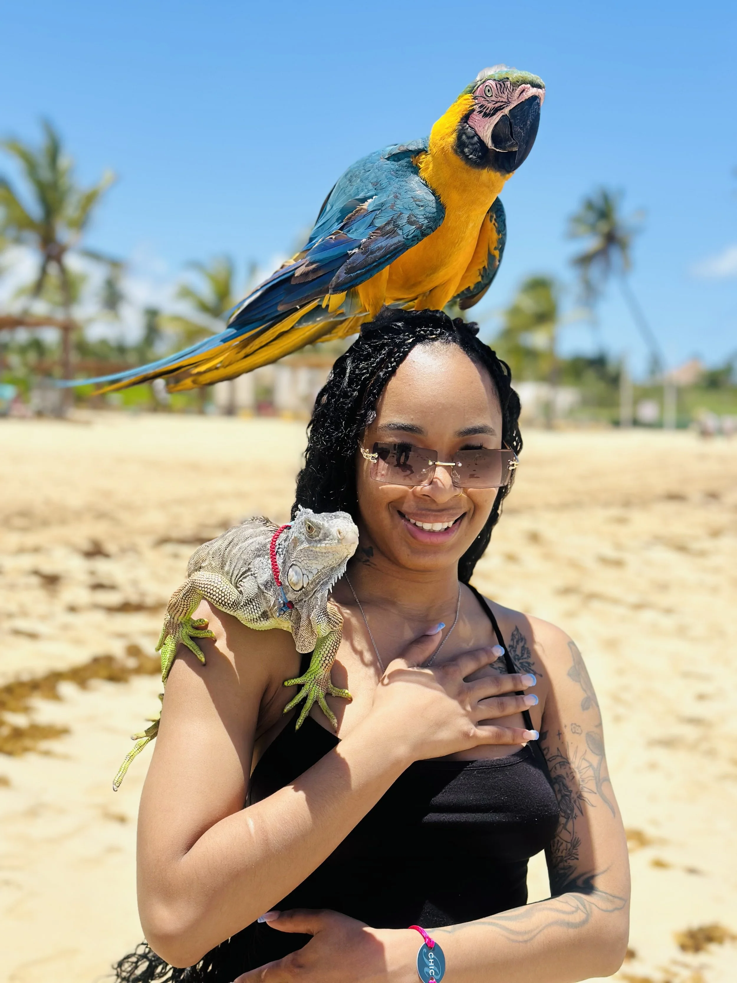 A woman with tattoos and dark curly hair wearing sunglasses, smiling and holding a green and yellow iguana on her shoulder, with a large parrot perched on her head, in a sunny beach setting.