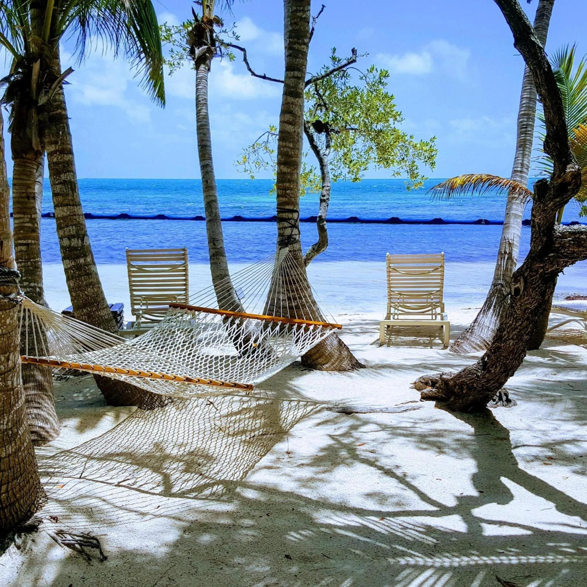 Beach scene with white sand, blue ocean, and clear sky. Several palm trees and empty chairs, hammock and shadows on the sand.