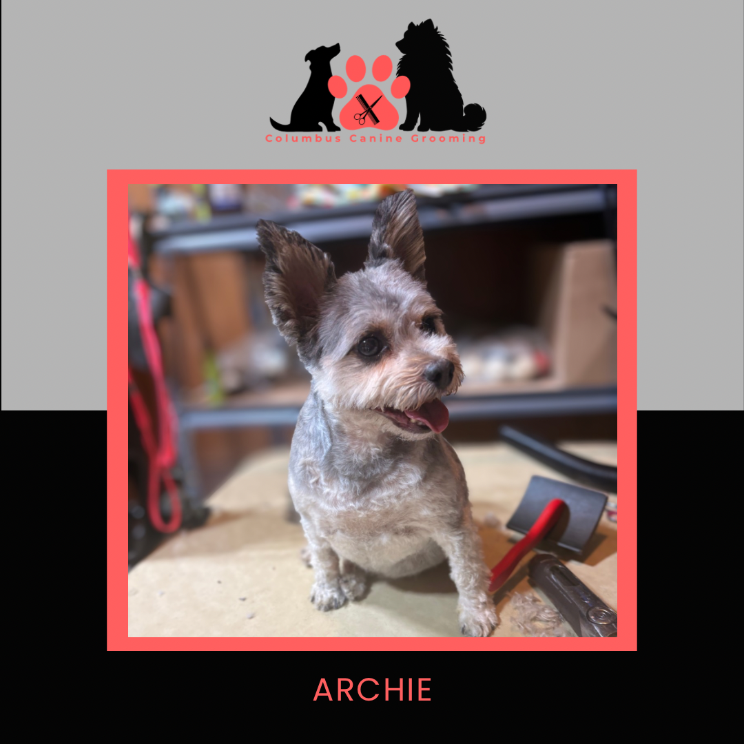 Columbus Canine Grooming temp 3 - 37.PNG
