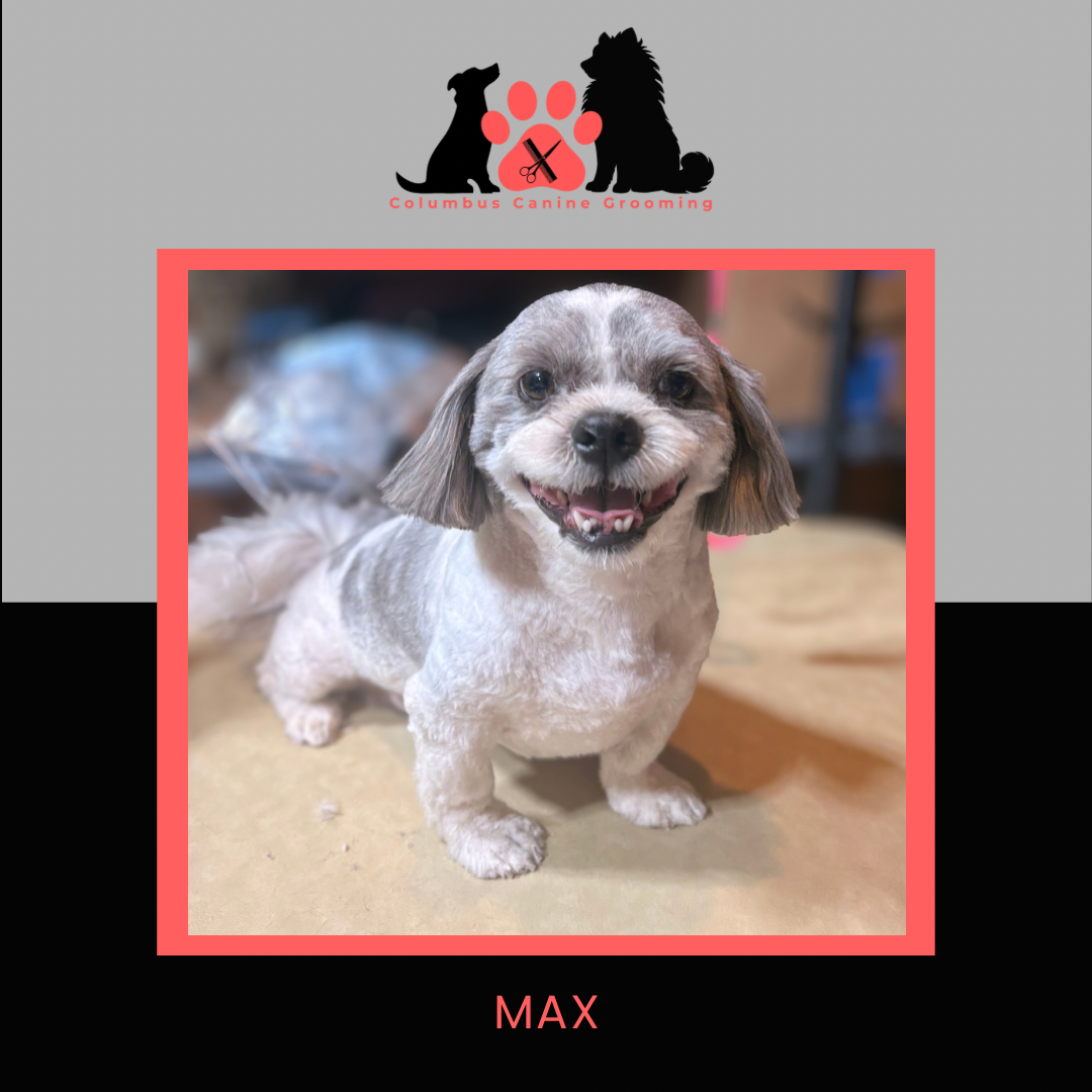 Columbus Canine Grooming temp 3 - 32.PNG