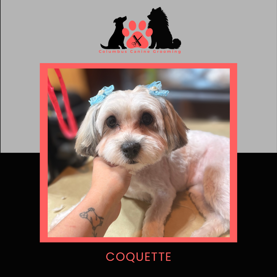 Columbus Canine Grooming temp 3 - 45.PNG