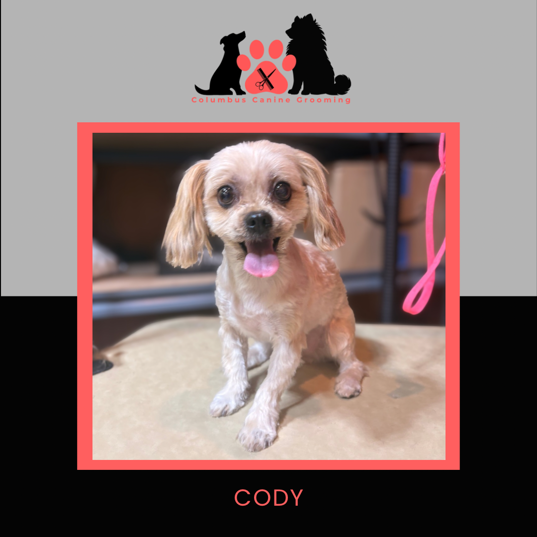 Columbus Canine Grooming temp 3 - 19.PNG