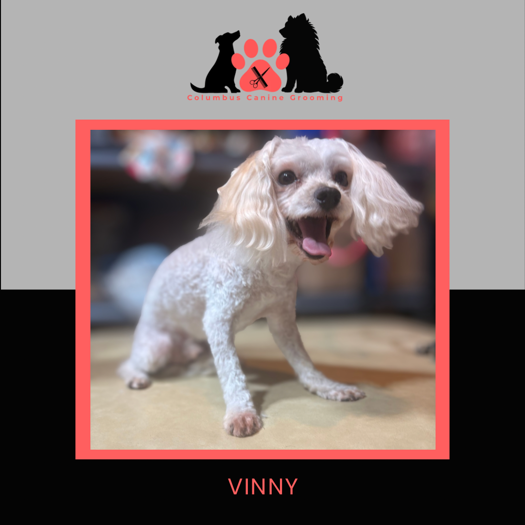 Columbus Canine Grooming temp 3 - 33.PNG