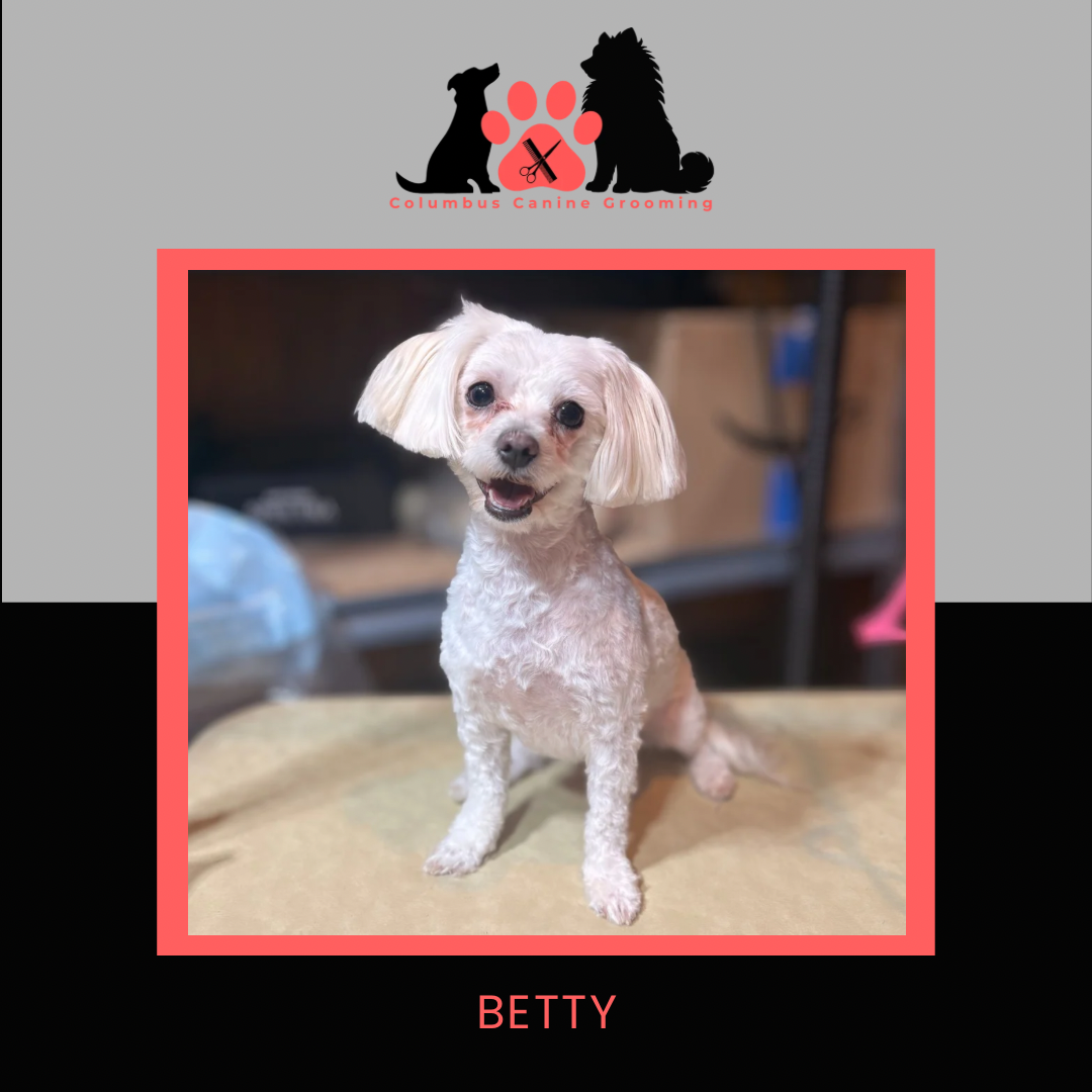 Columbus Canine Grooming temp 3 - 14.PNG