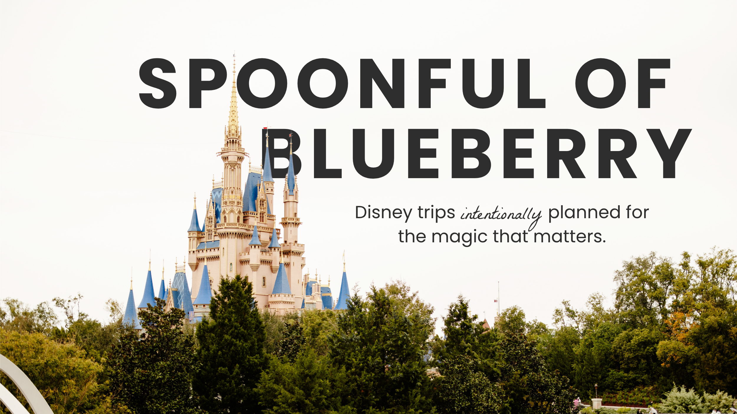 Spoonful of Blueberry homepage banner with Cinderella Castle and the tagline: Disney trips intentionally planned for the magic that matters.