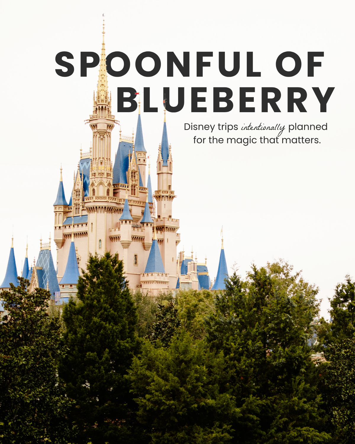 Spoonful of Blueberry homepage banner with Cinderella Castle and the tagline: Disney trips intentionally planned for the magic that matters.