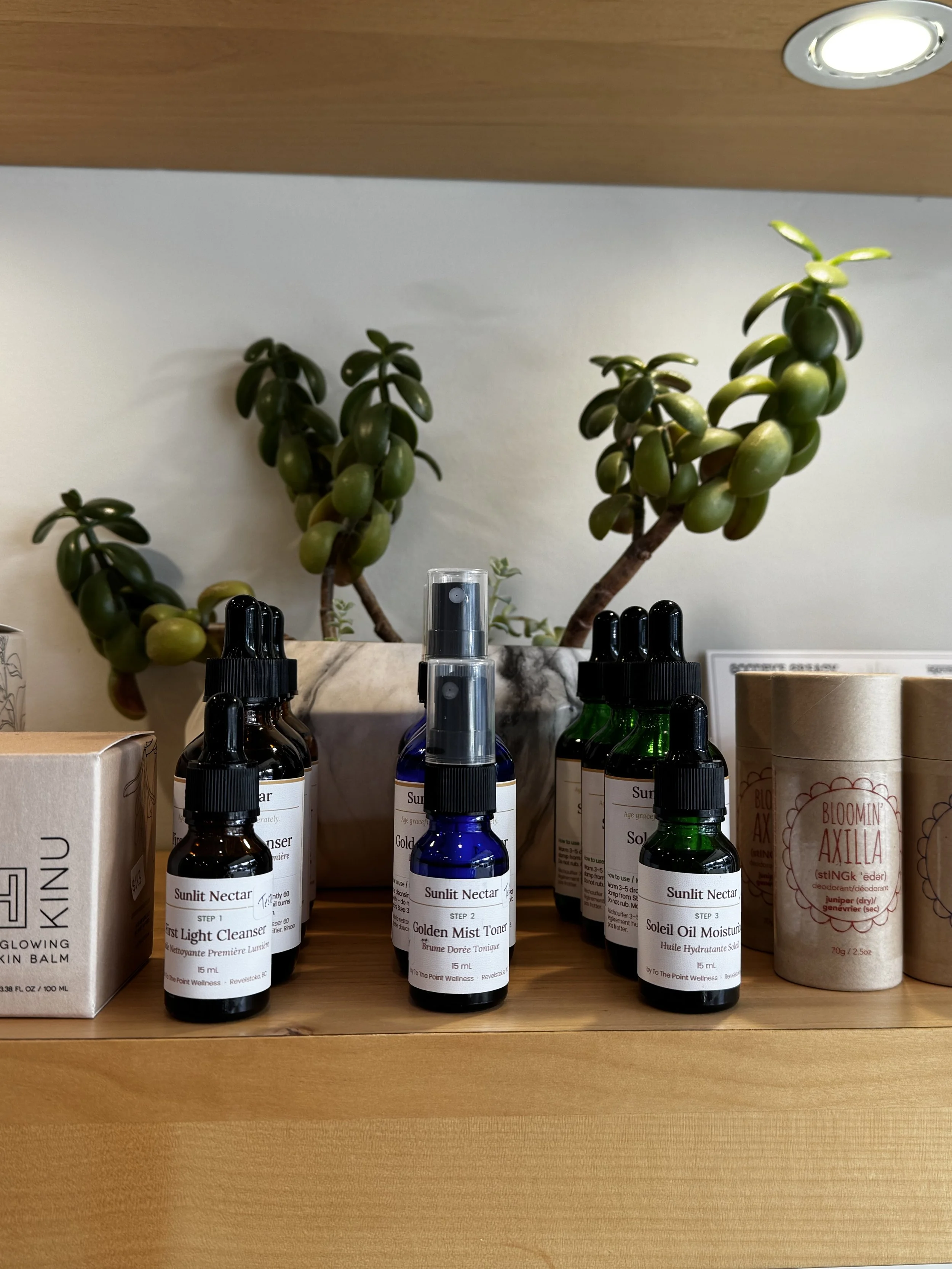 Sunlit Nectar wholesale