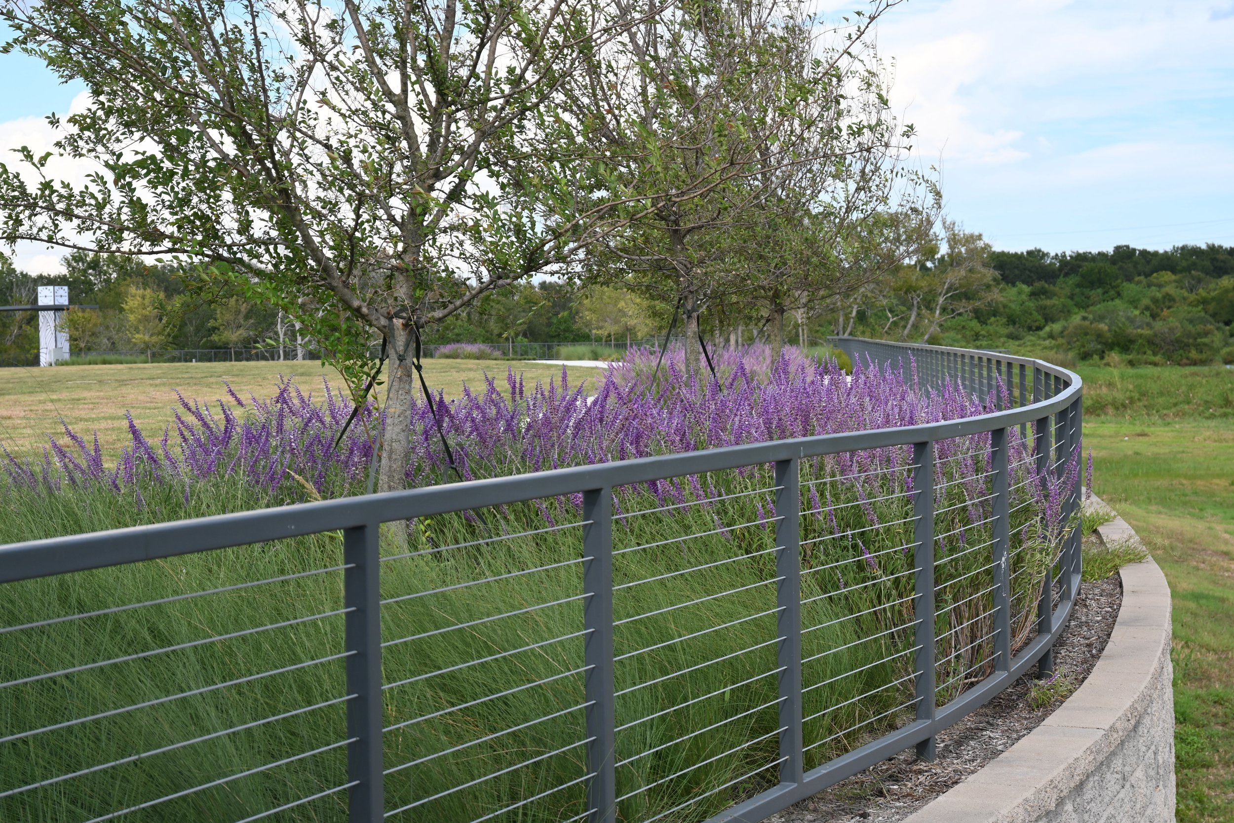 Flyway Park Landscape & Hardscape // Webster, TX