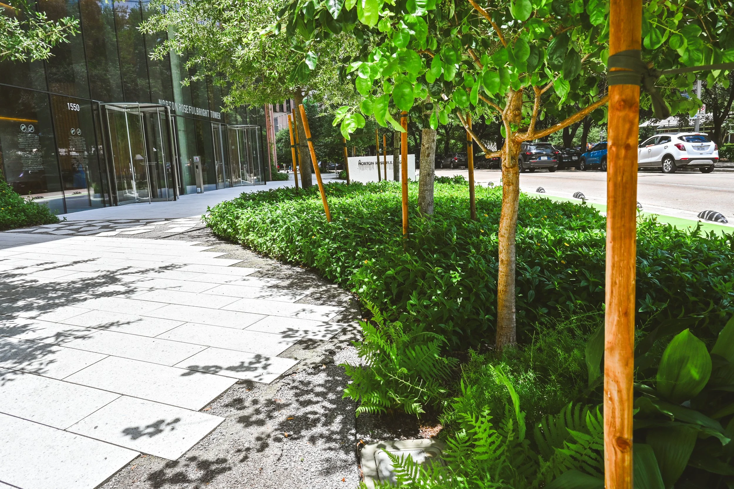 1550 On The Green Landscaping // Houston, TX