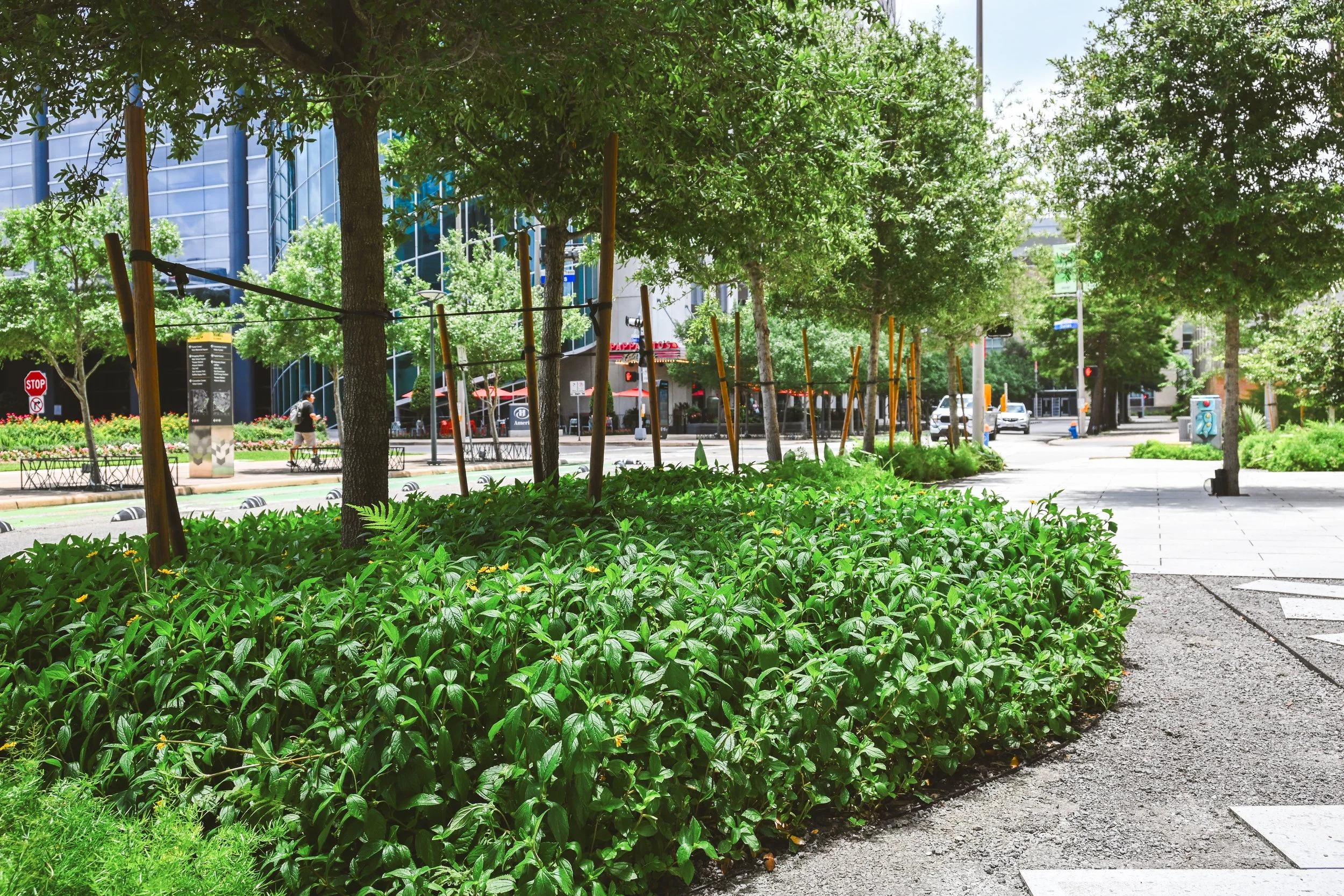 1550 On The Green Landscaping // Houston, TX