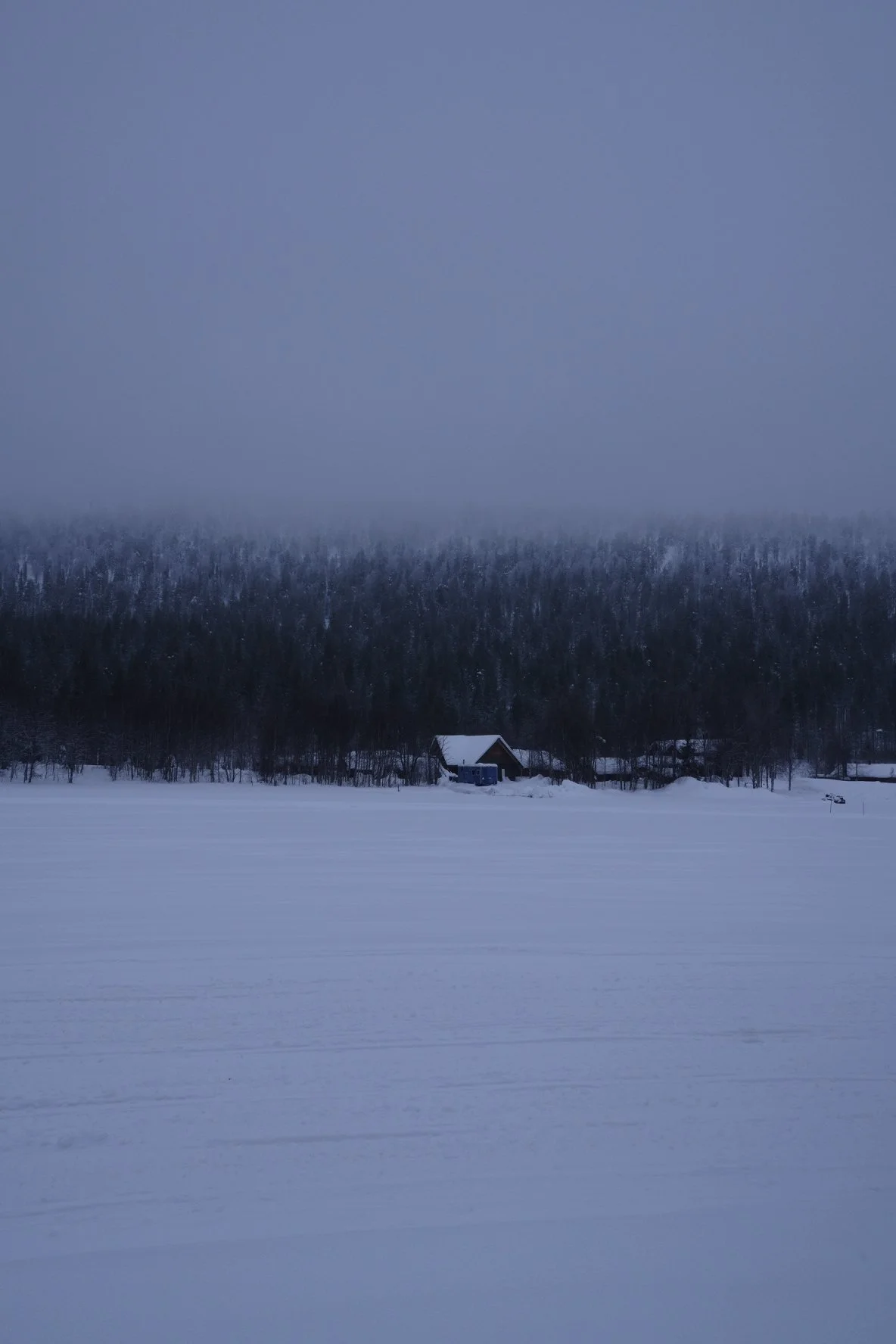 A snowy landscape with a small house and trees in the background, under a grey overcast sky.