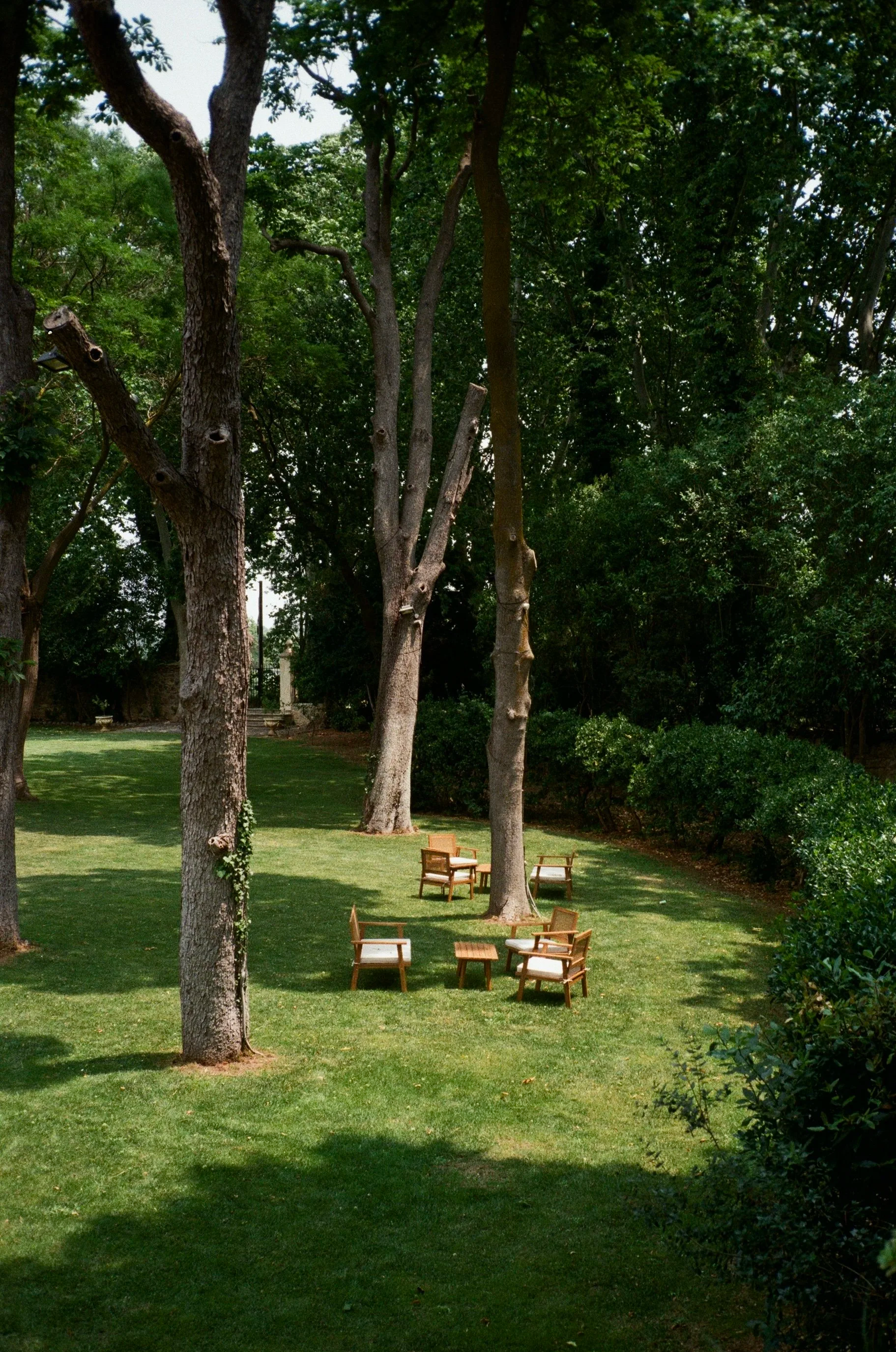 A lush green lawn with several tall trees and wooden chairs arranged in small groups for outdoor seating, surrounded by dense shrubbery and foliage.