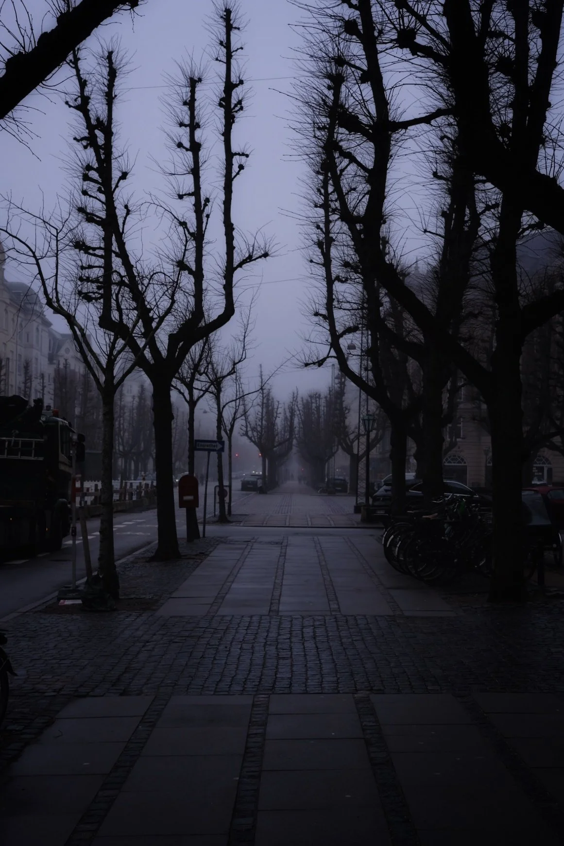 73D8A5A9-D027-4AD2-BDBA-60EFE51C708A-33023-000005D6AB9D217A.jpg