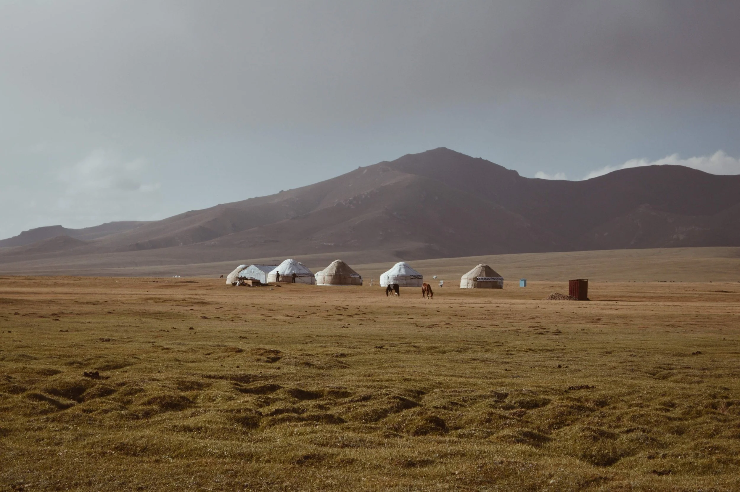 A landscape with a mountain range in the background and traditional white yurts in the foreground. There are horses grazing on the plains and a clear sky overhead.
