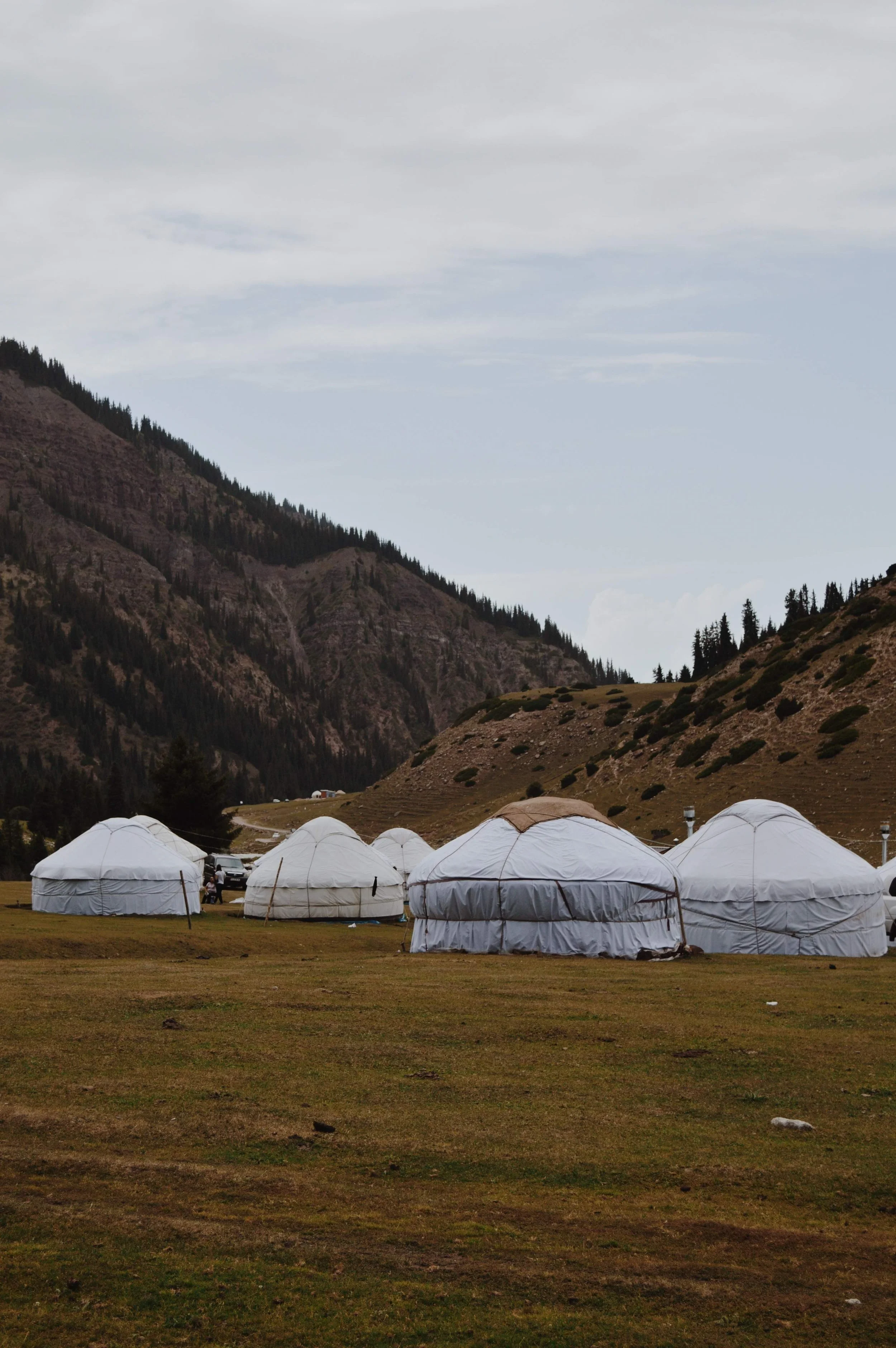 A mountain valley with multiple white tents set up on grassy land, surrounded by steep hills covered with trees, under a cloudy sky.