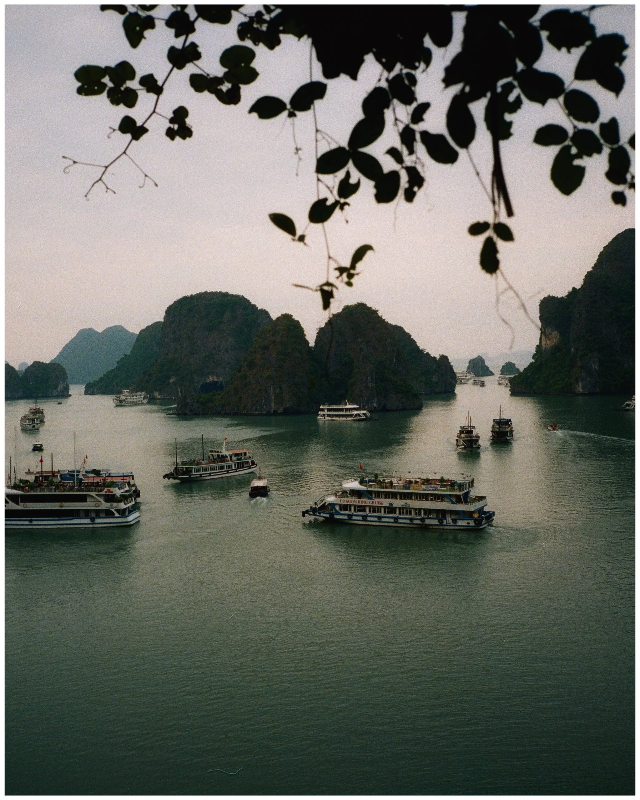 A scenic view of boats sailing on calm water with rocky islands and lush greenery in the background. Black leaves are hanging in the foreground.