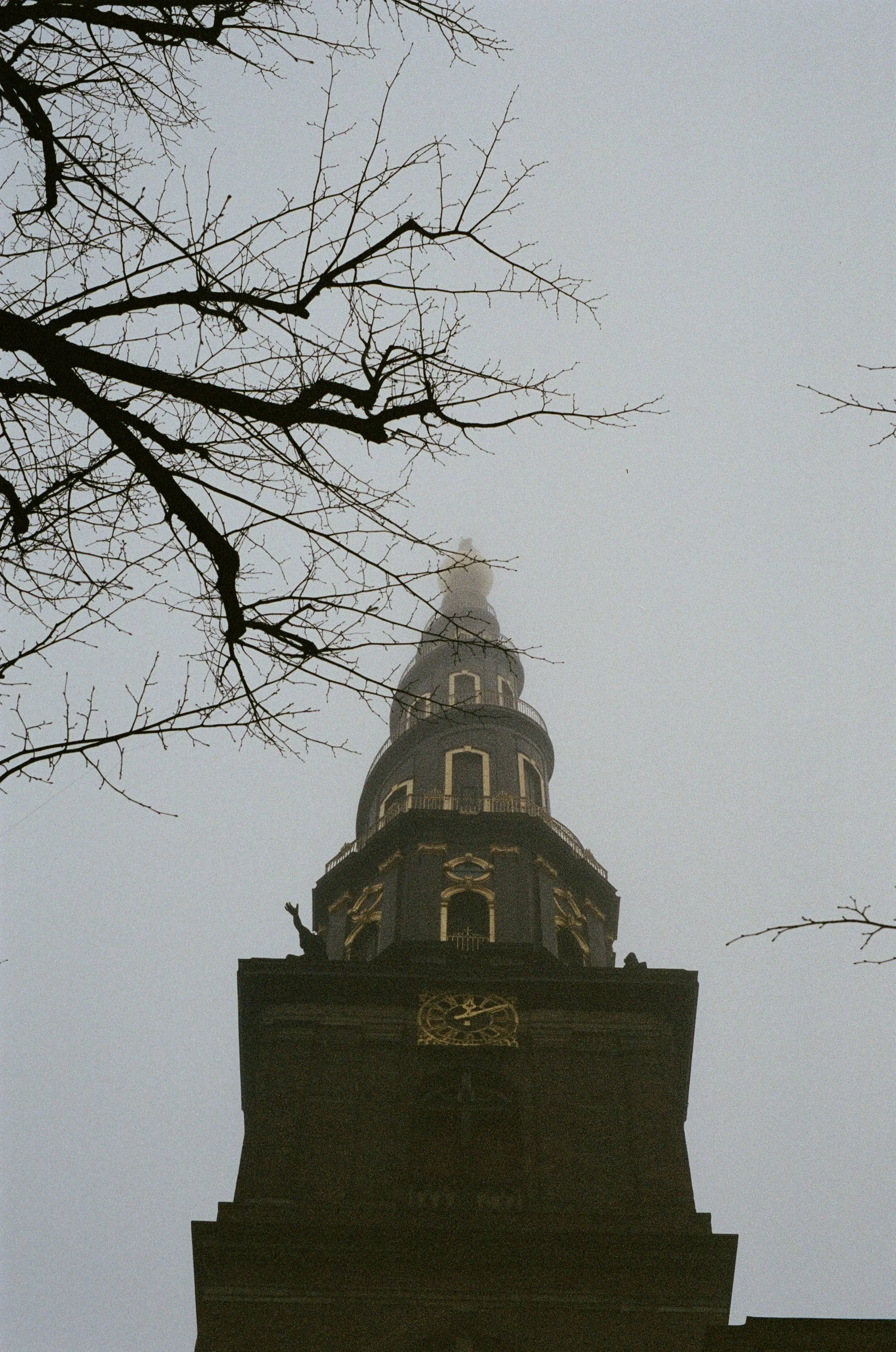 A tall clock tower seen from below, against a foggy sky with leafless tree branches in the foreground.