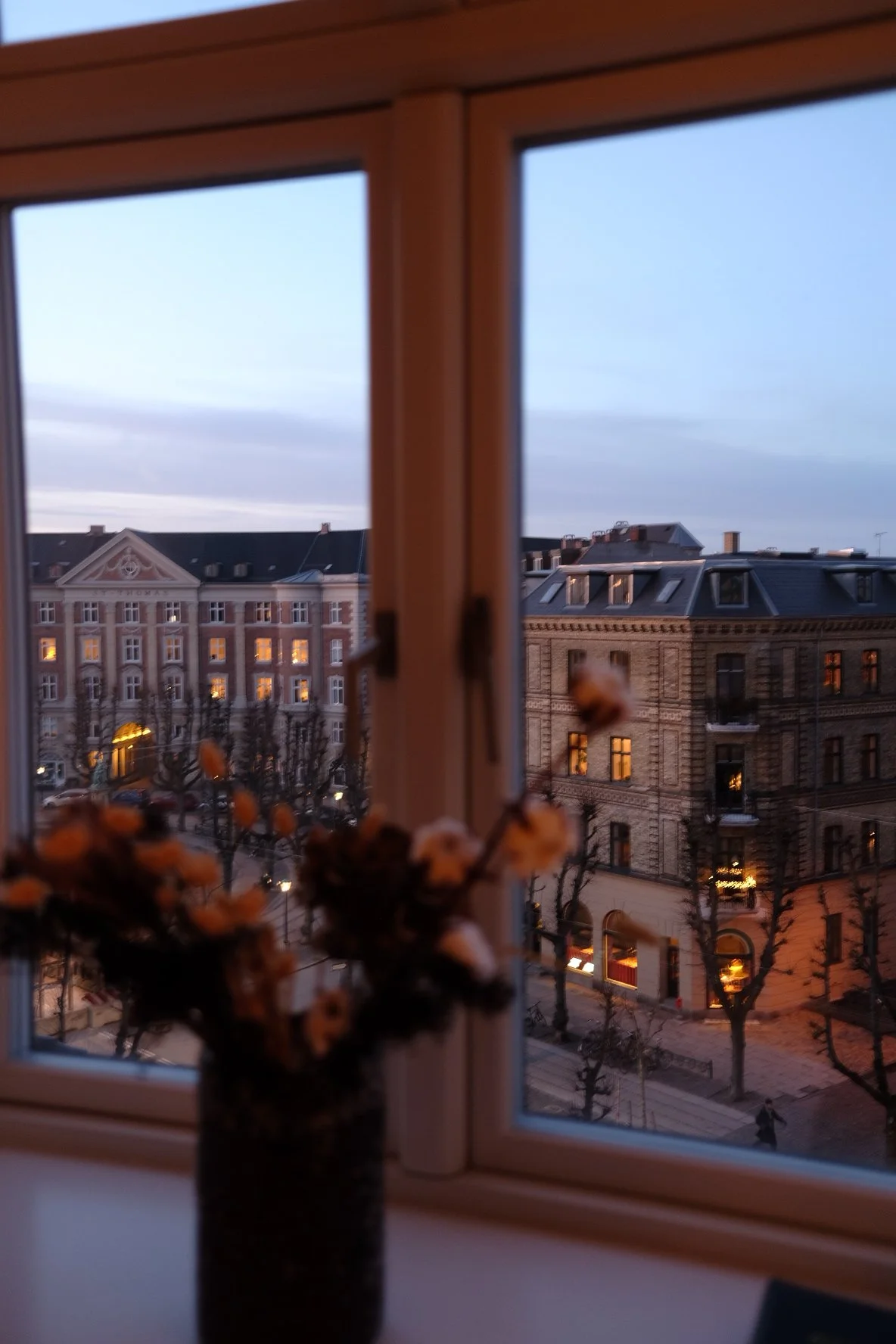 View of a city street through an open window, with buildings and trees outside, and a blurred flower pot in the foreground.
