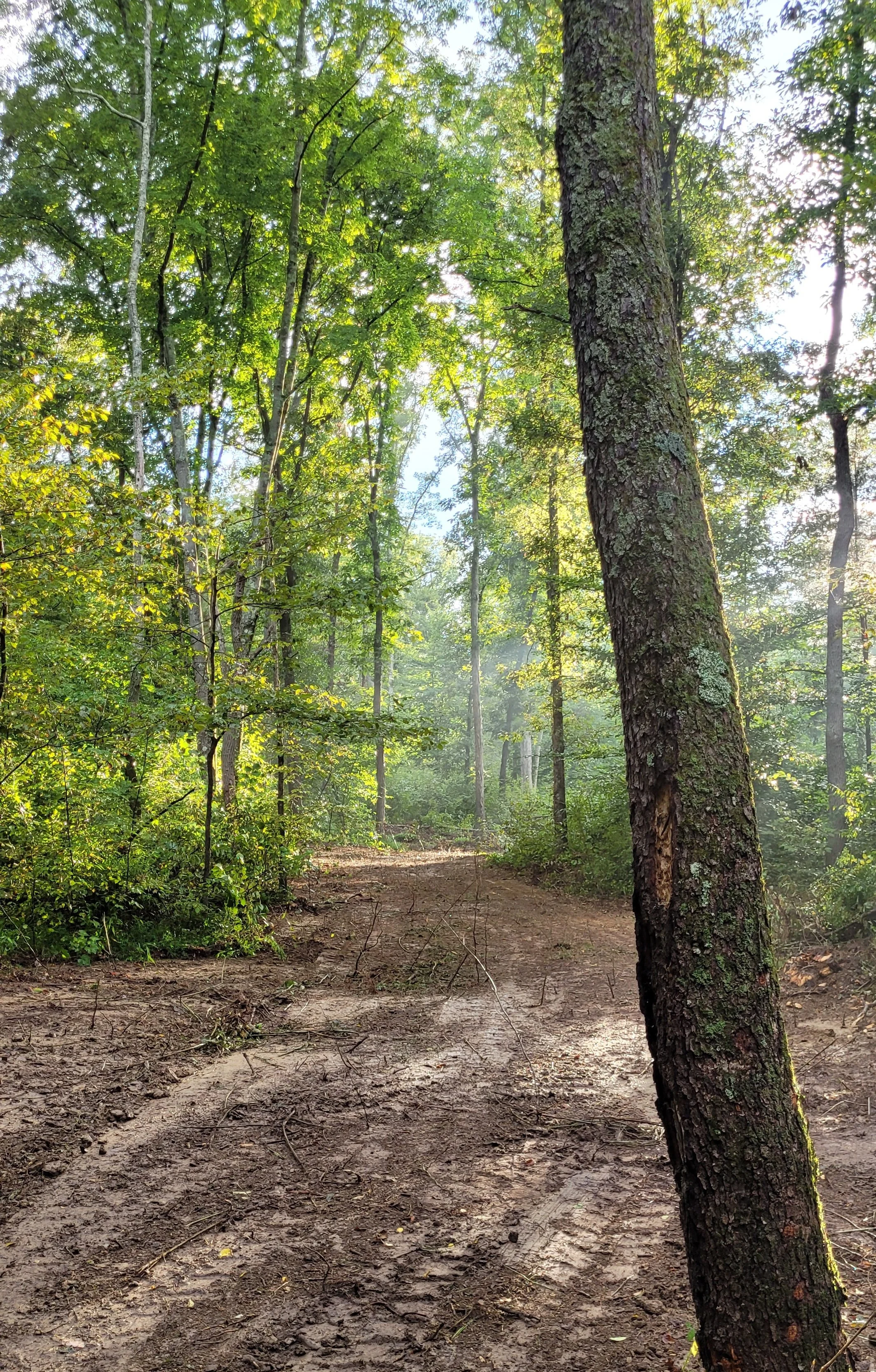 CedarCreekTrail_3.jpg