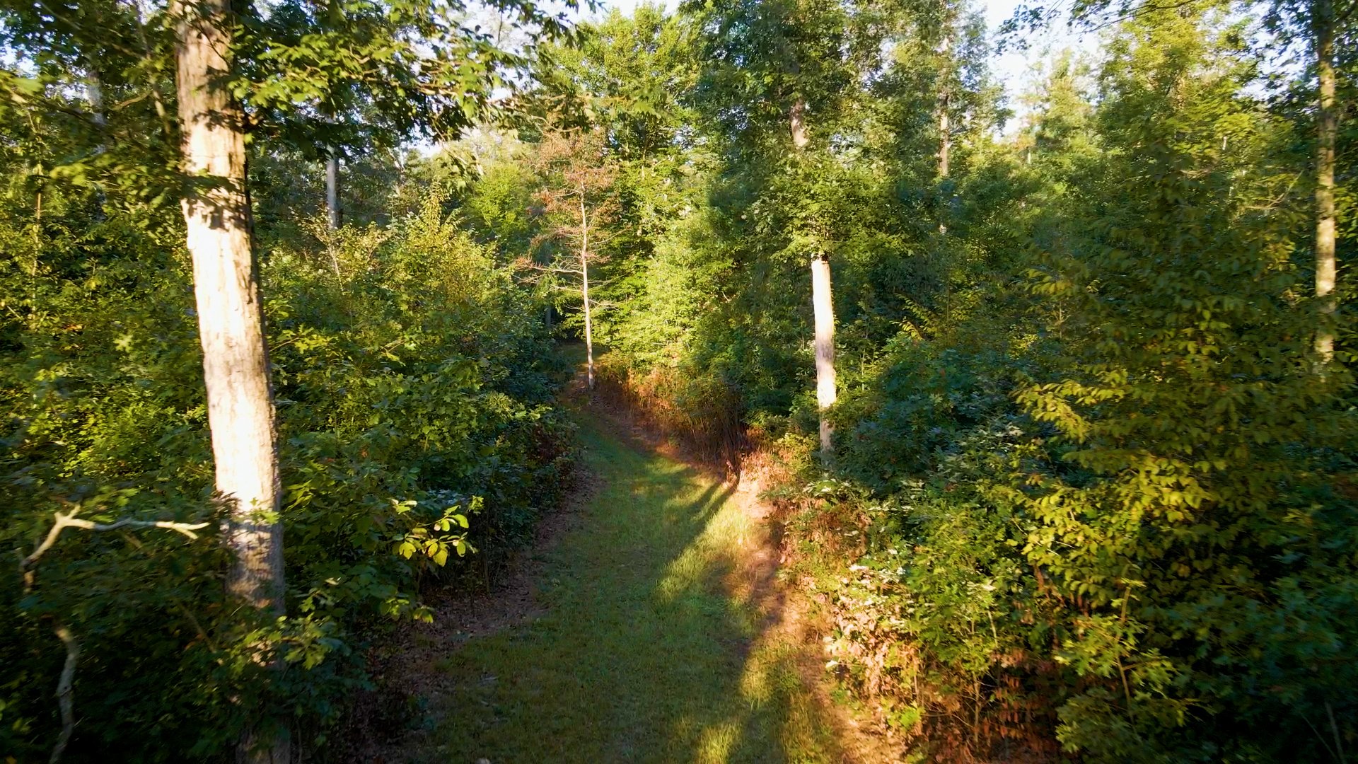 Film Location_Sub_010.jpg