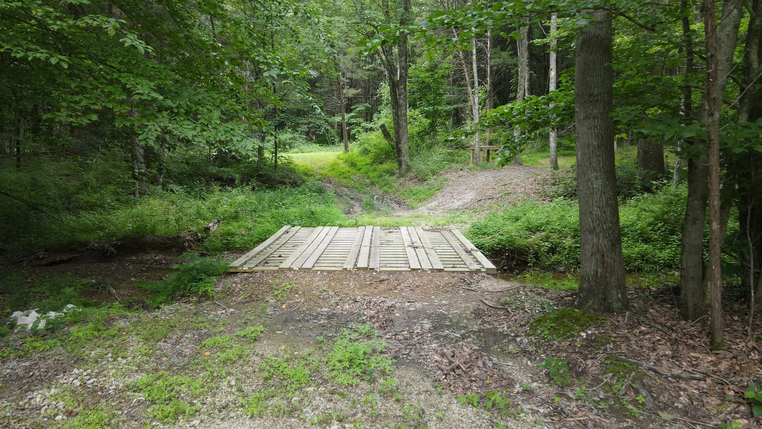 CedarCreekTrail_4.JPG