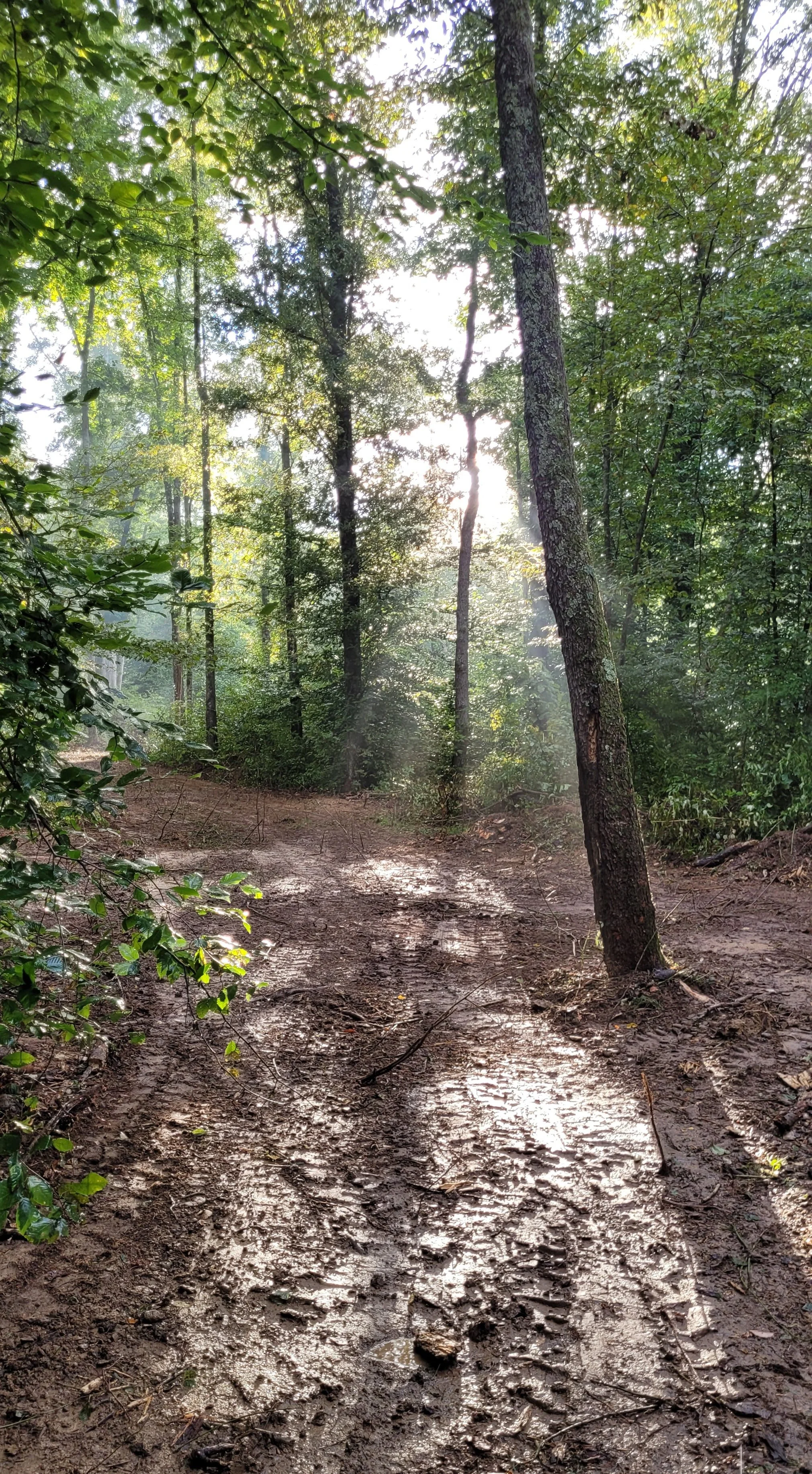 CedarCreekTrail_2.jpg